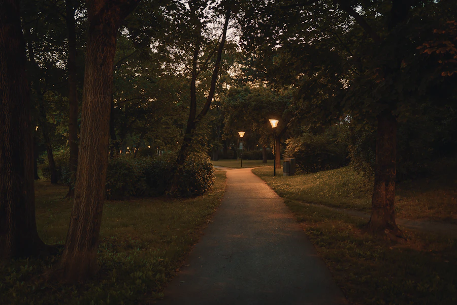 Illuminated pathway through a garden park at night, lit by regularly spaced lamp posts
