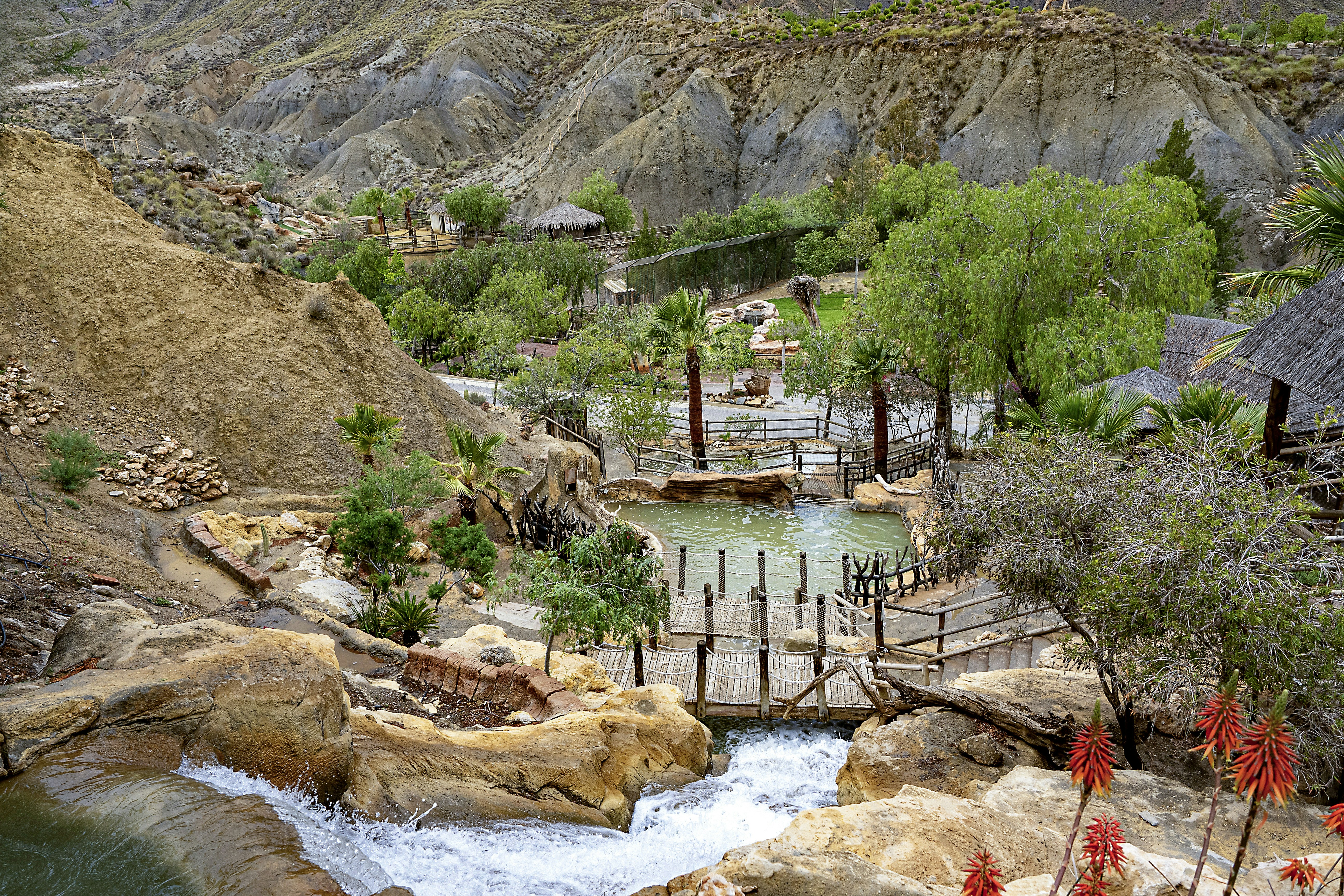 Oita Tourism: From Classic Spots to Breathtaking Views! 4 Must-Visit Popular Sightseeing & Leisure Spots and Tips to Enjoy Them