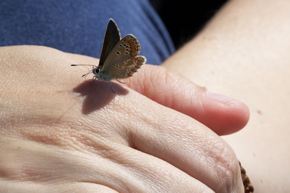 a person's hand with a butterfly on it