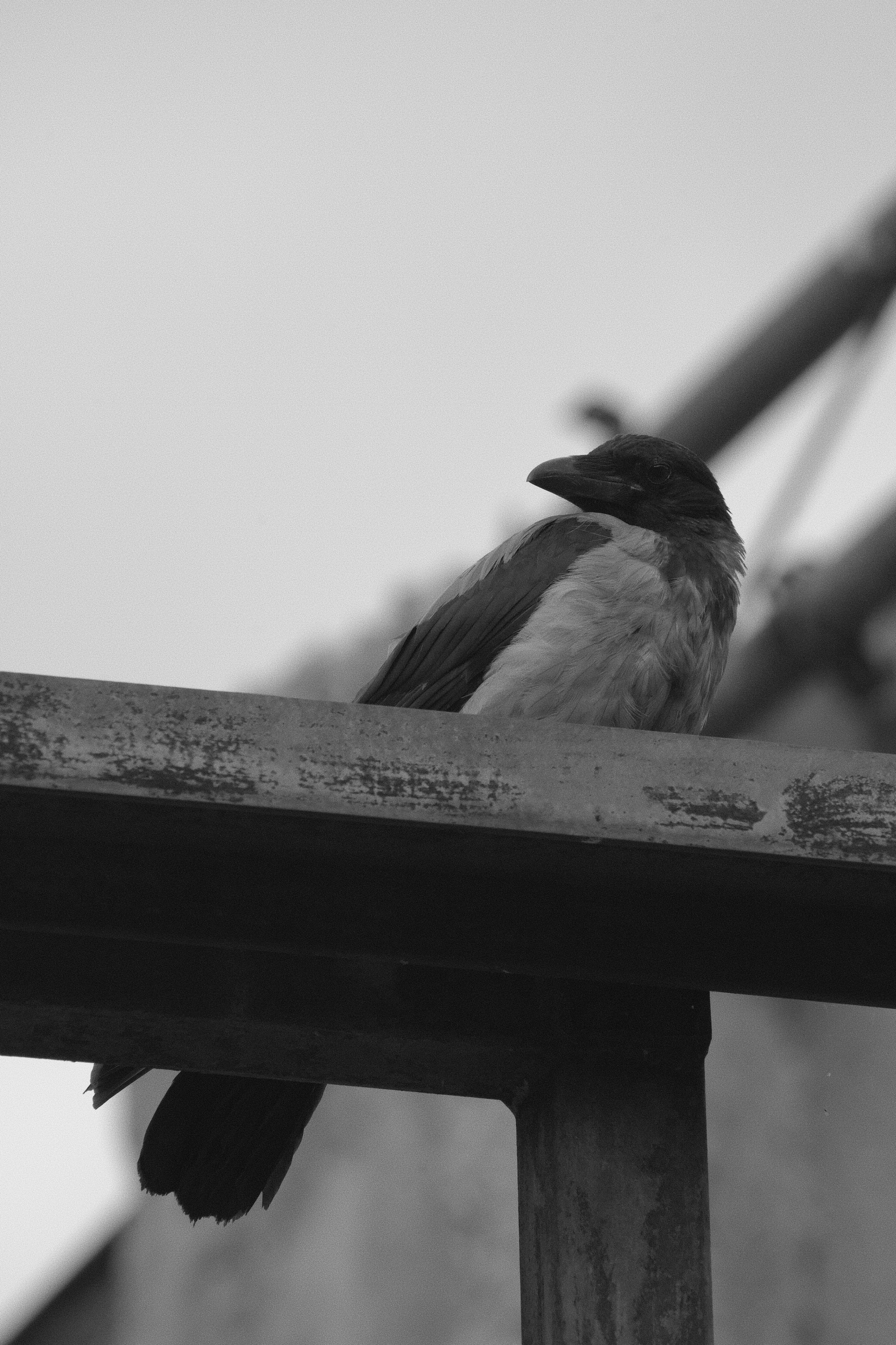 Photo by miguelalcantara