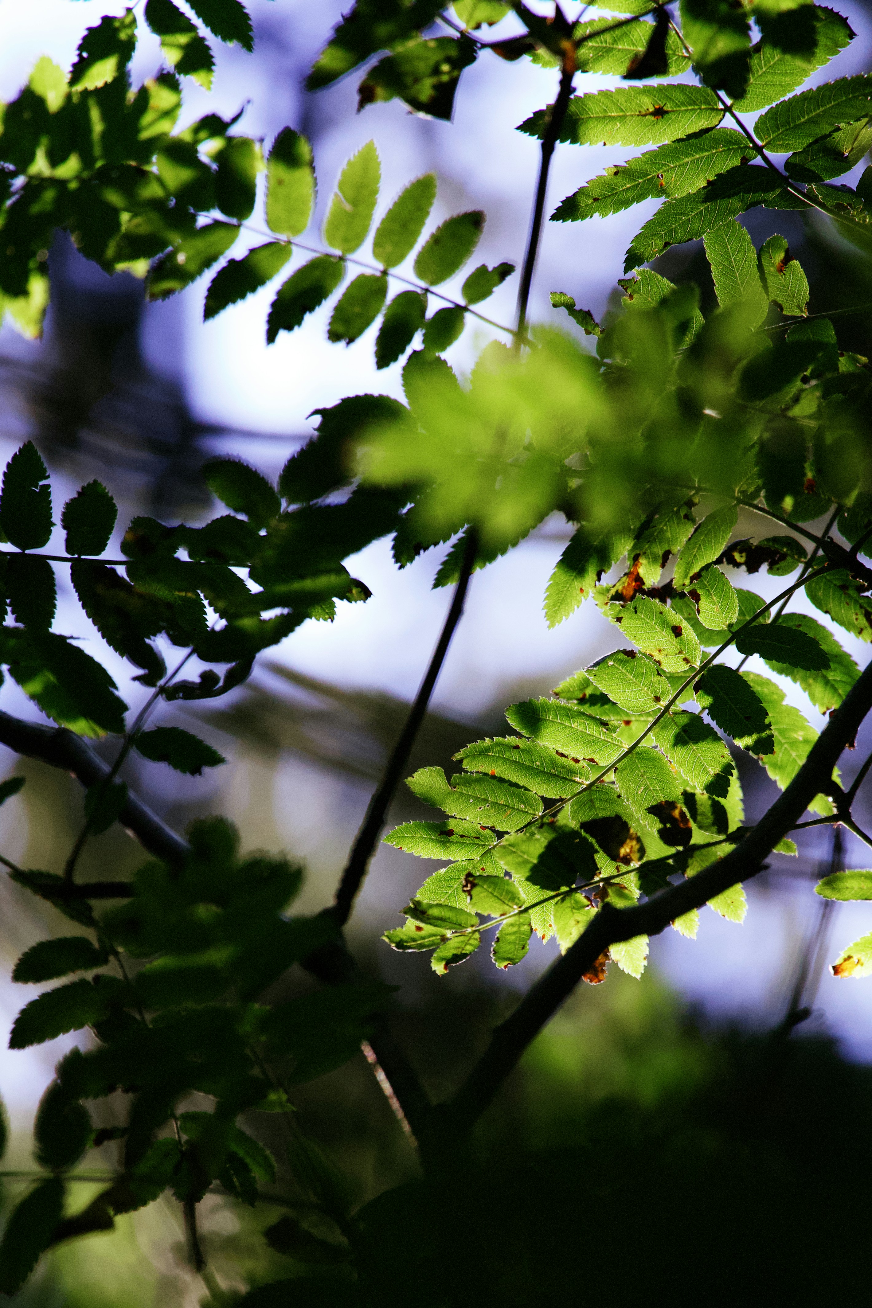 Photo by miguelalcantara