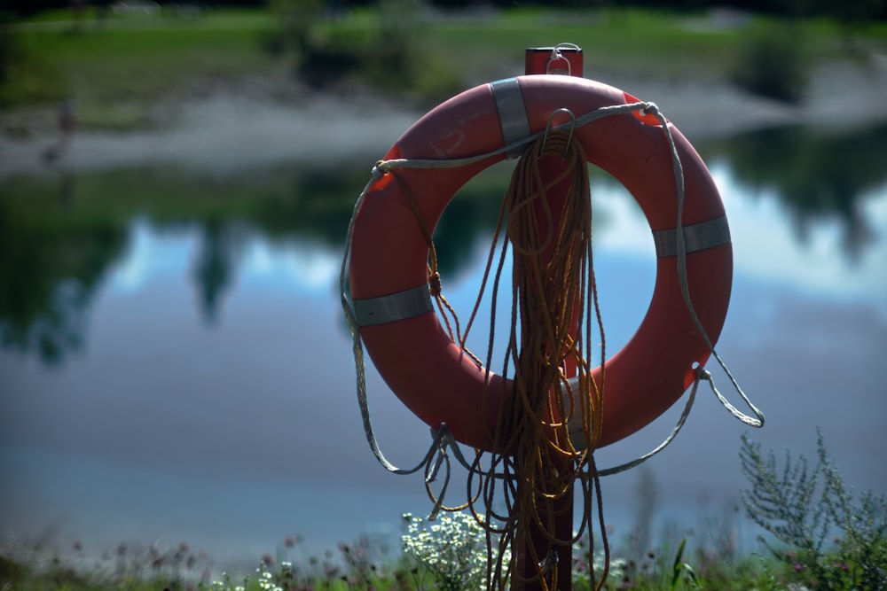 a life preserver on the shore of a lake