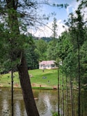 A serene park scene with a lush green lawn and a river bordered by trees. A small house with a red roof sits on a hill. People are leisurely walking, sitting, and boating, enjoying a peaceful day in nature. The atmosphere is enhanced by the towering trees framing the scene and a partly cloudy sky.