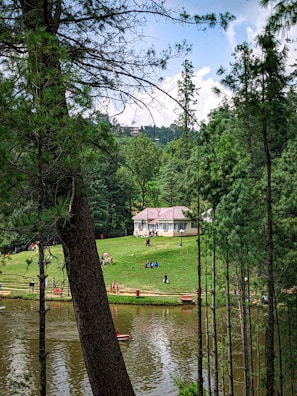 A serene park scene with a lush green lawn and a river bordered by trees. A small house with a red roof sits on a hill. People are leisurely walking, sitting, and boating, enjoying a peaceful day in nature. The atmosphere is enhanced by the towering trees framing the scene and a partly cloudy sky.