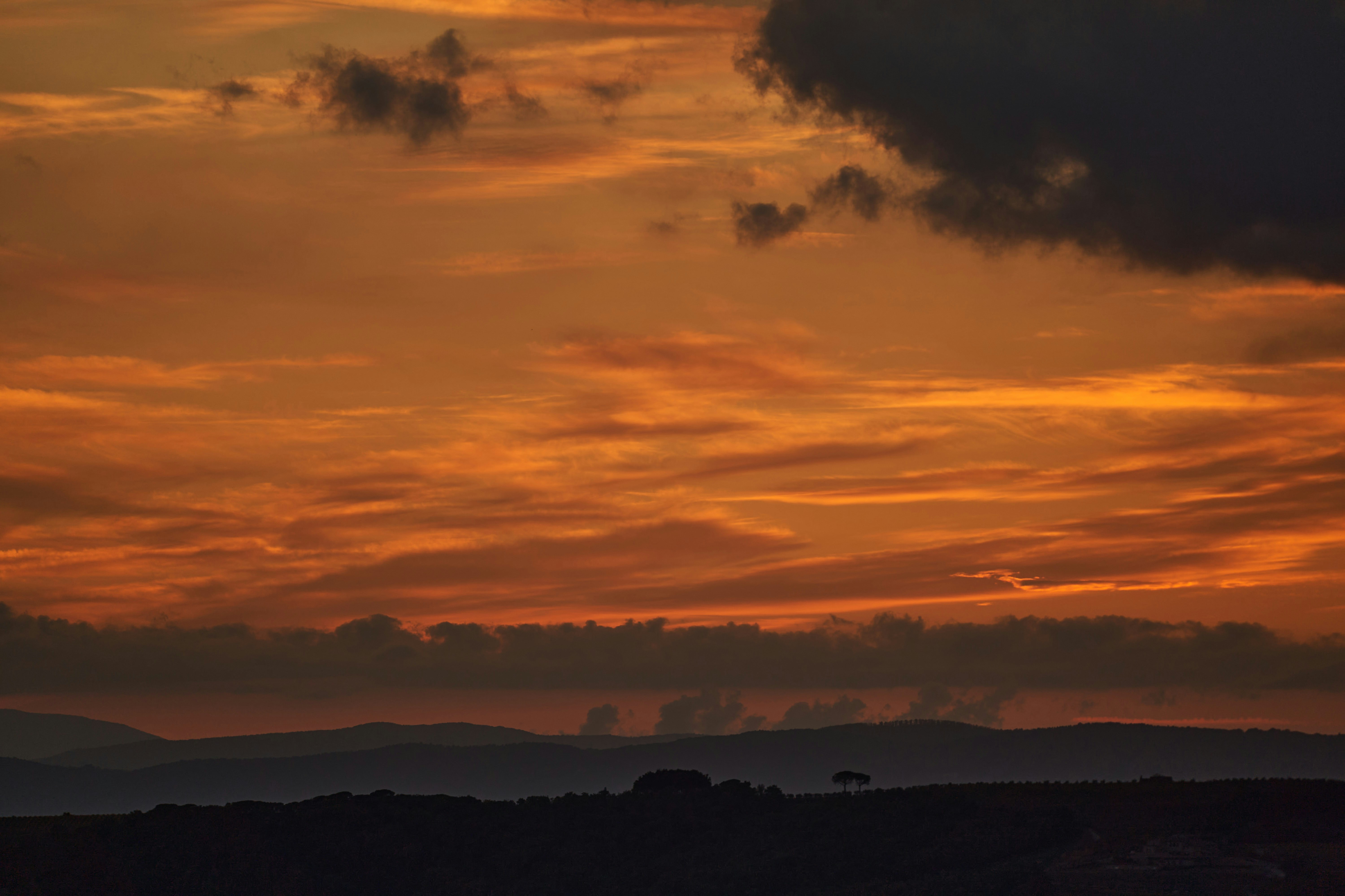 Photo by wolfgang_hasselmann