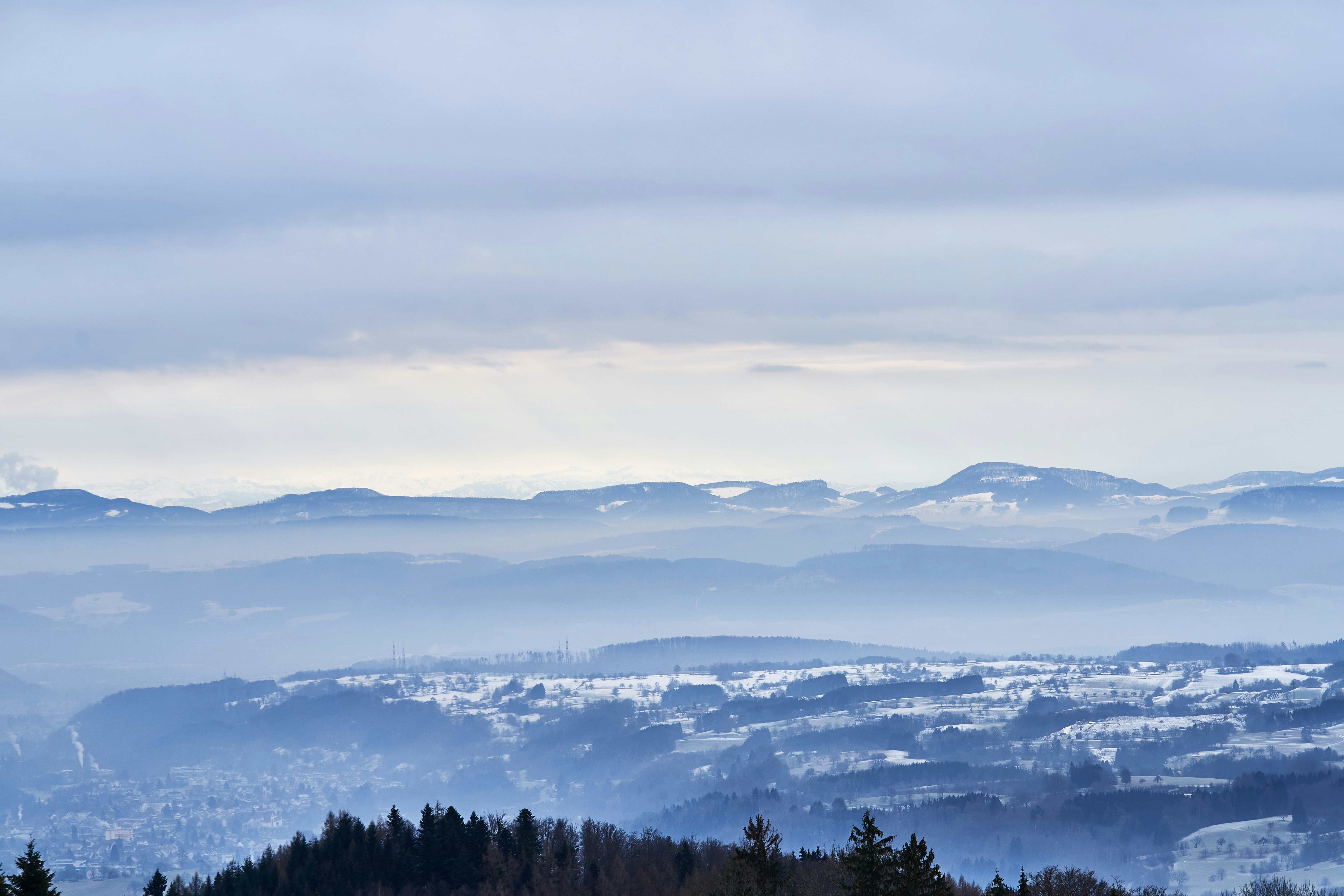 Photo by wolfgang_hasselmann