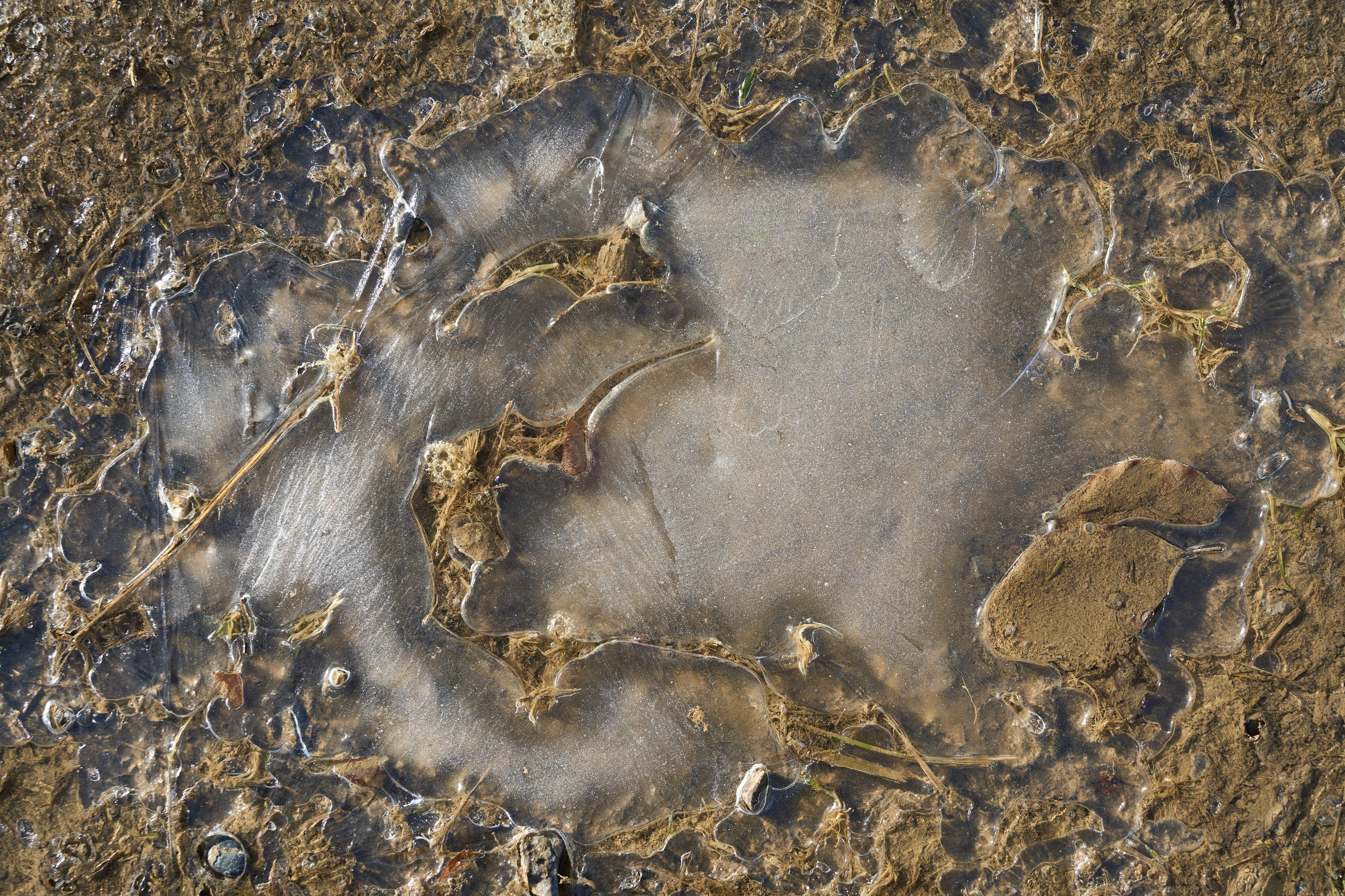 Photo by wolfgang_hasselmann