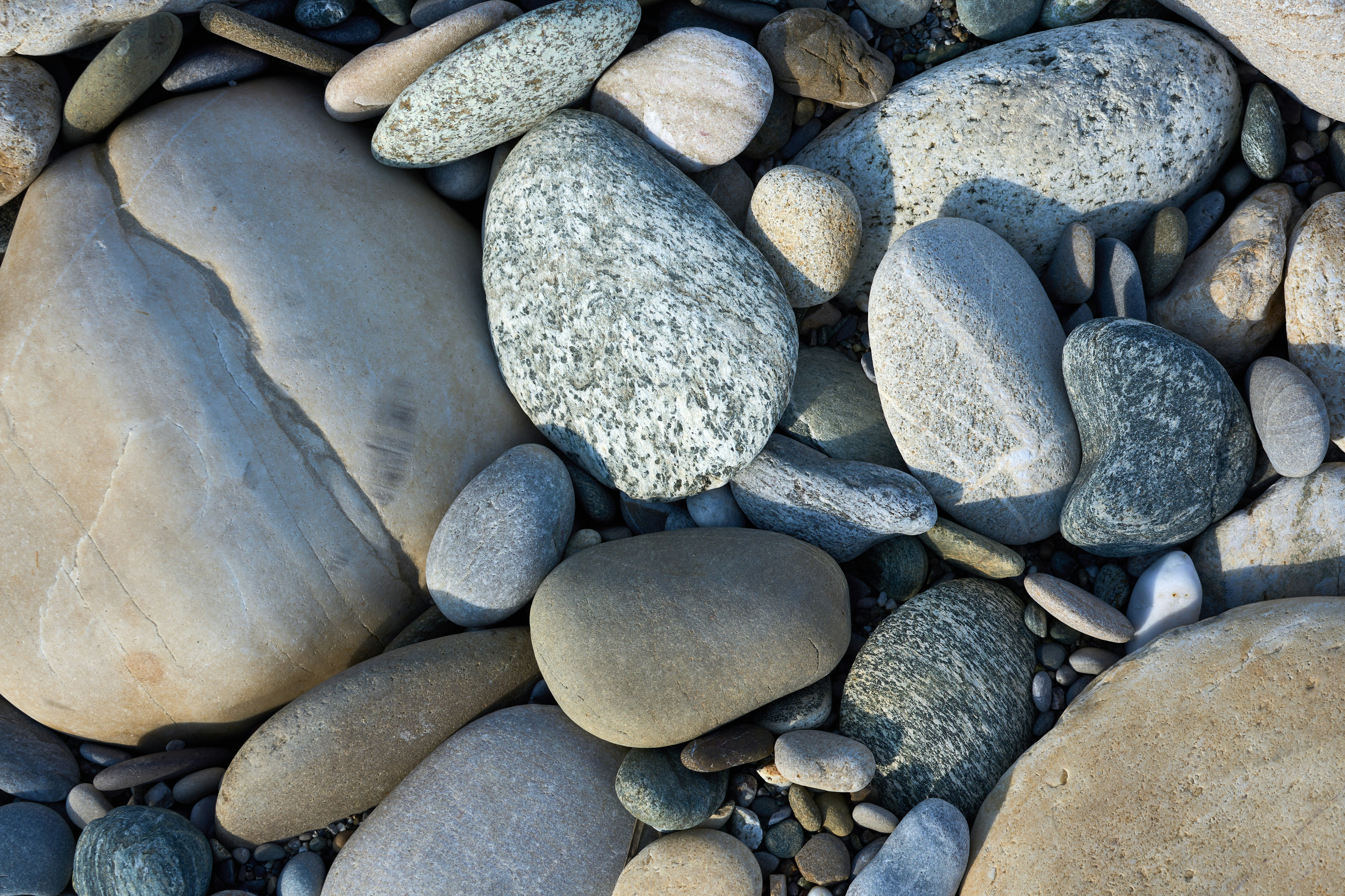 Photo by wolfgang_hasselmann