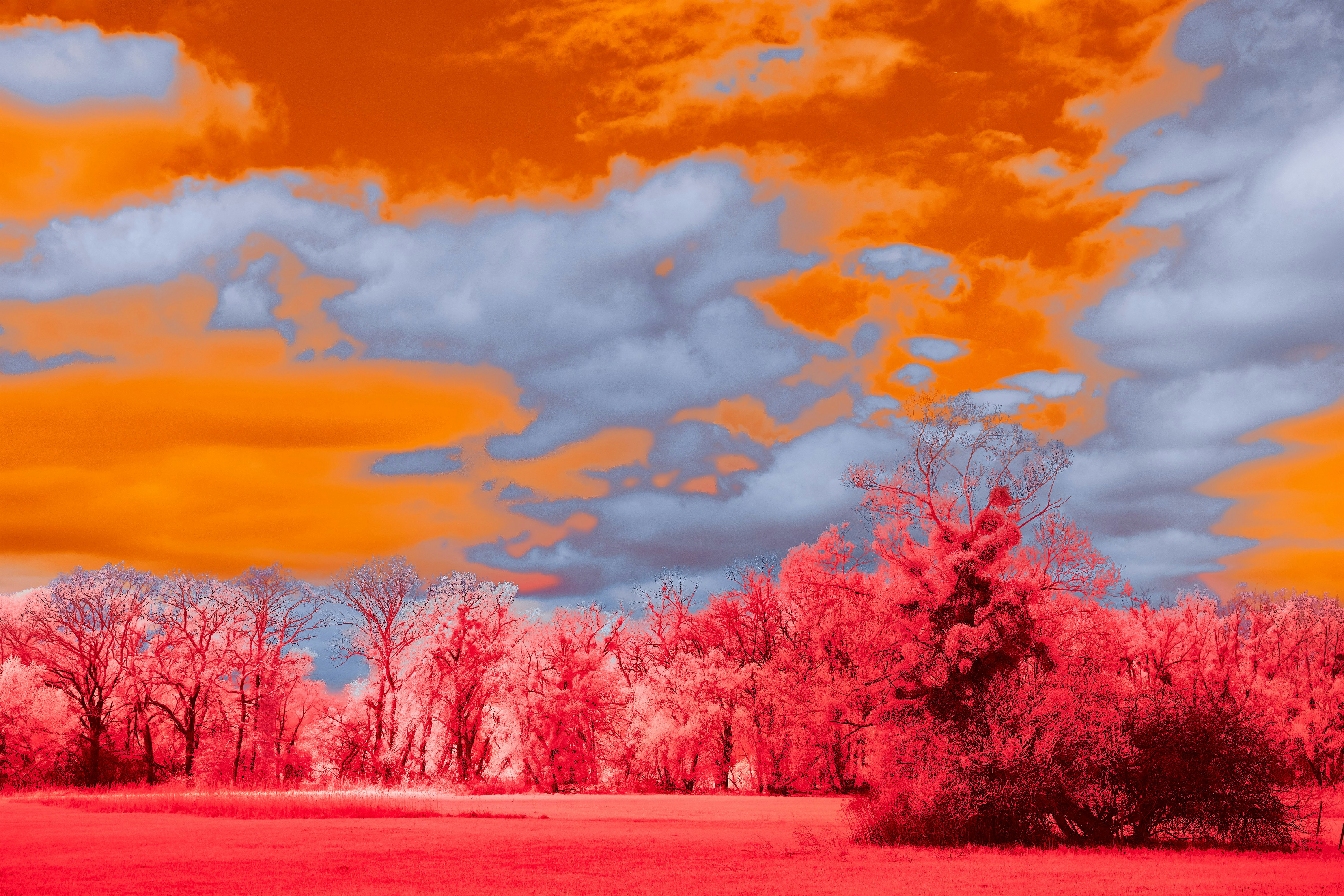 Photo by wolfgang_hasselmann