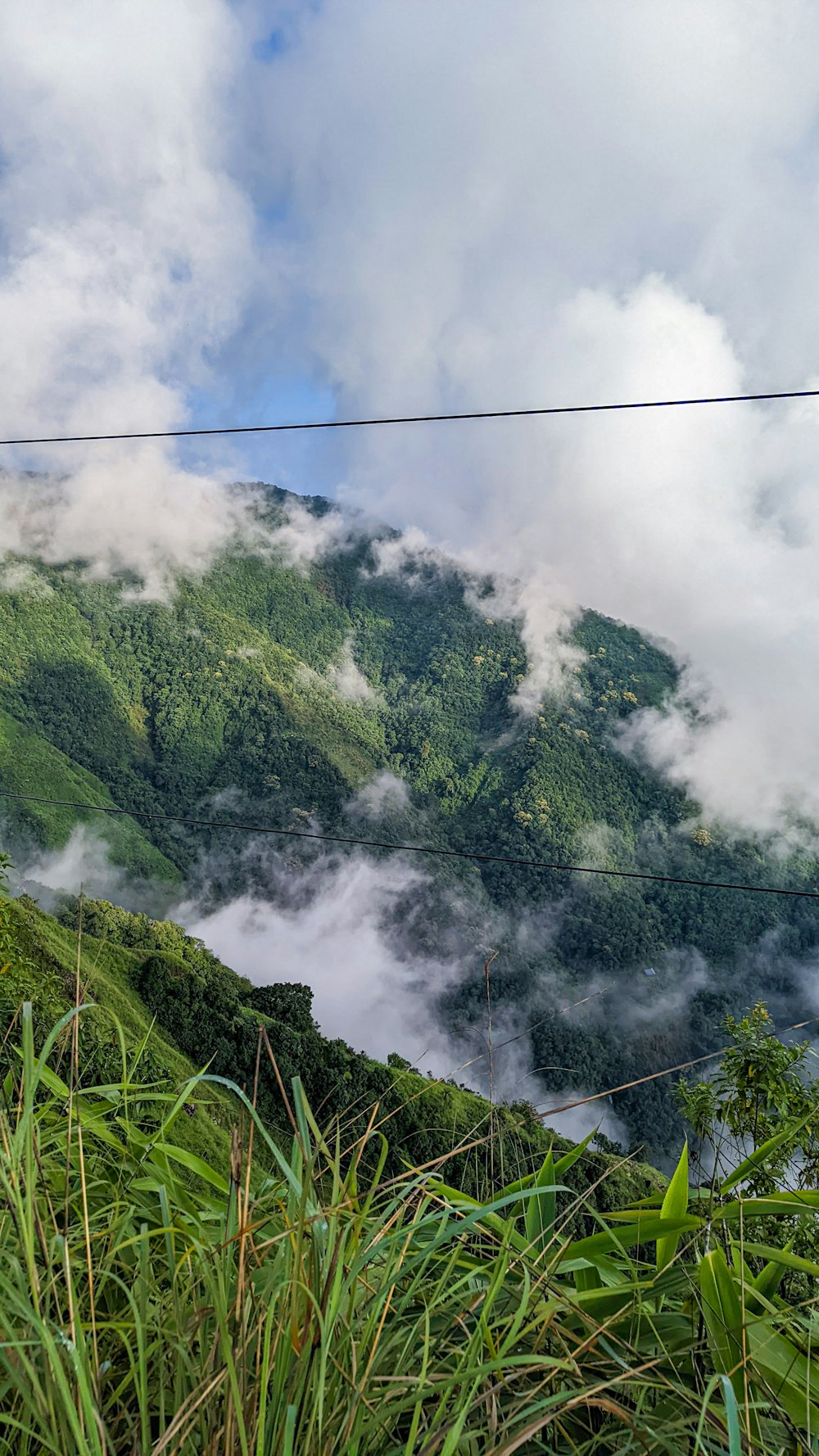 a lush green hillside covered in clouds and trees