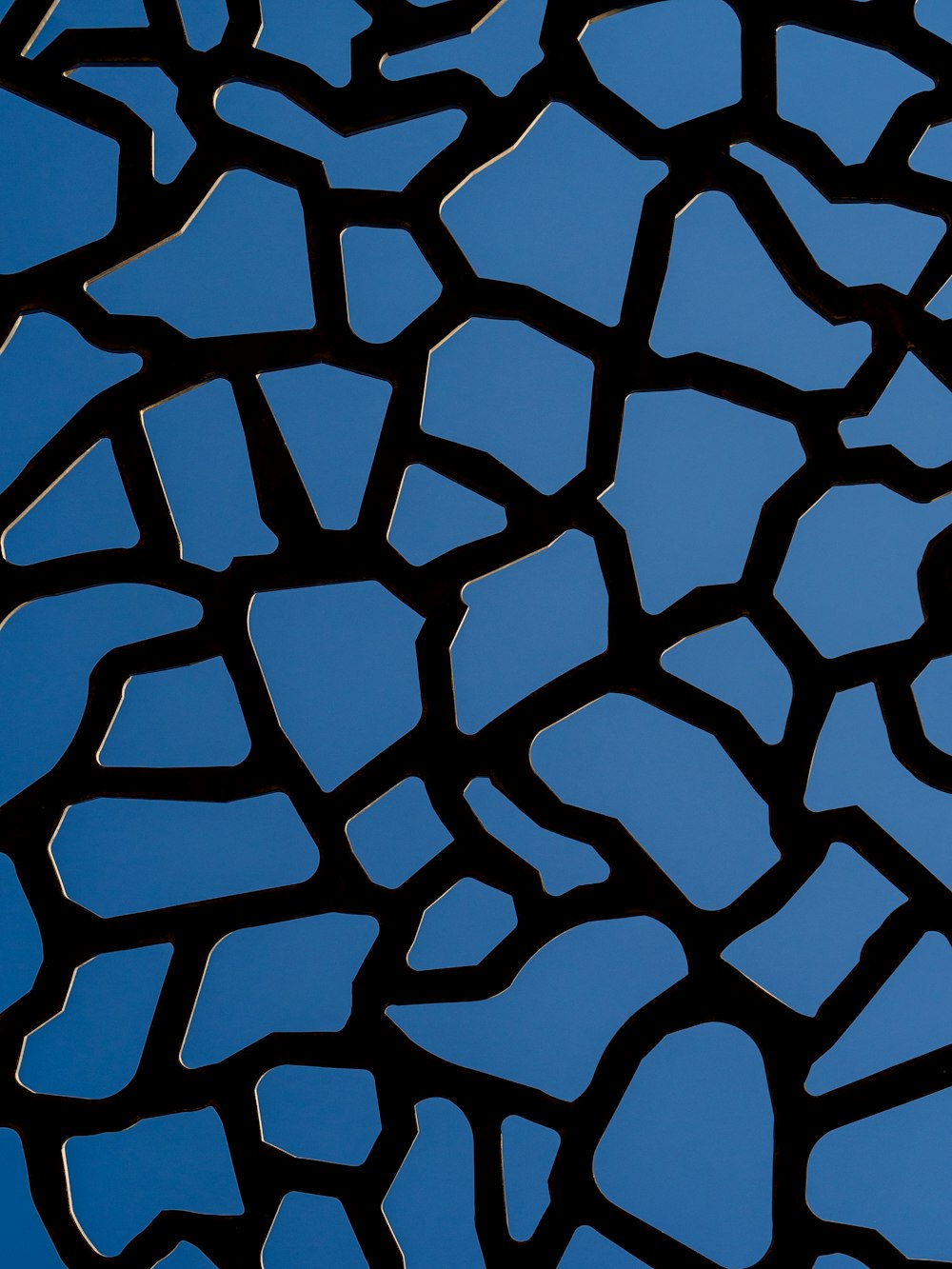 a close up of a giraffe's skin against a blue sky