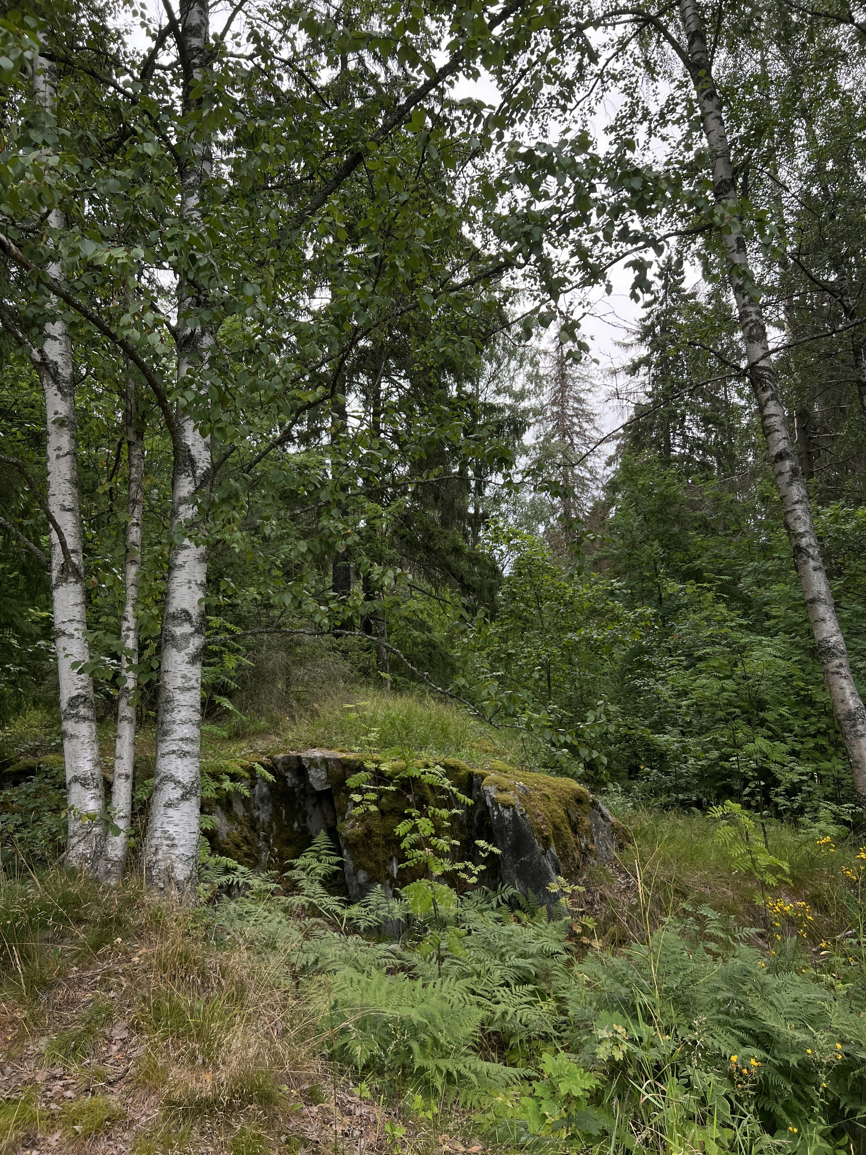 Photo by naturius175