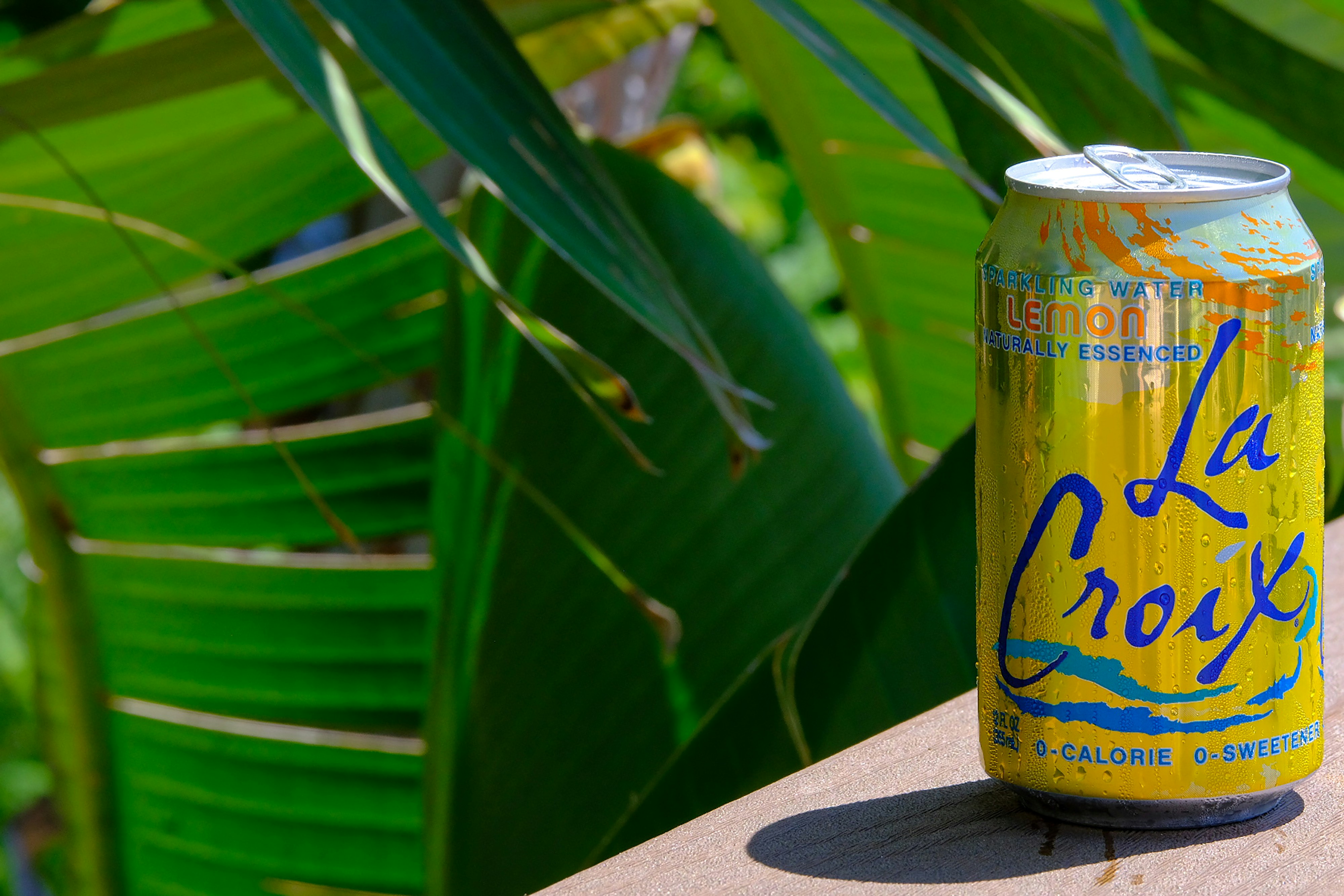 Photo by cestmoisheedy