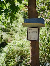 A wooden post is mounted with a small, rectangular notice board or sign. The board is weathered, with a handwritten inscription that reads 'NP46 IZVOR'. The post is surrounded by lush green vegetation, suggesting a natural setting like a forest or garden. Sunlight filters through the leaves, creating patches of light and shadow.