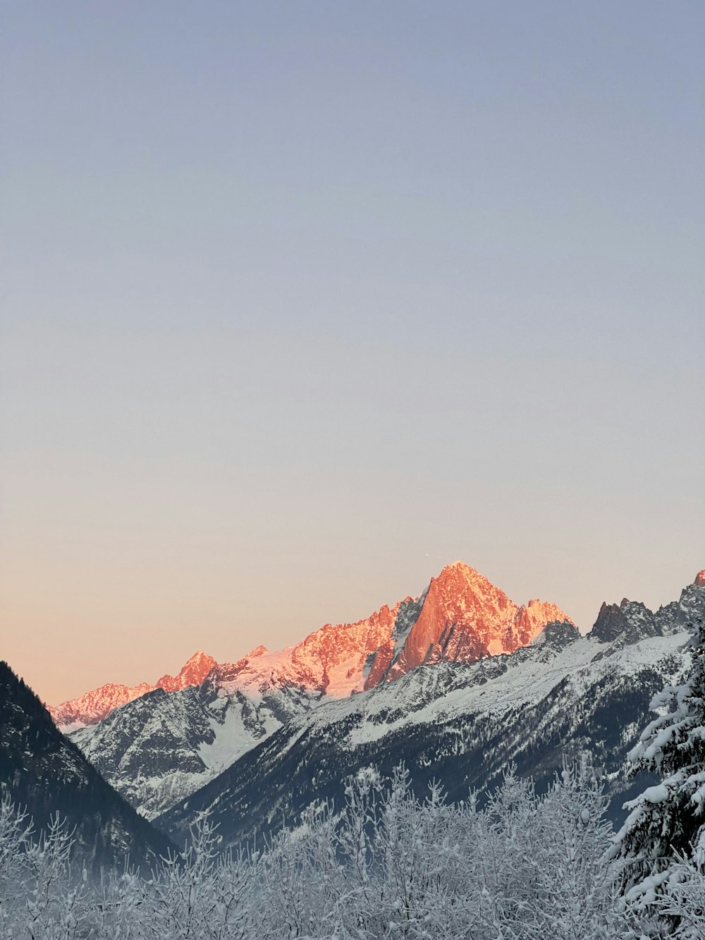 a view of a snowy mountain range with trees in the foreground