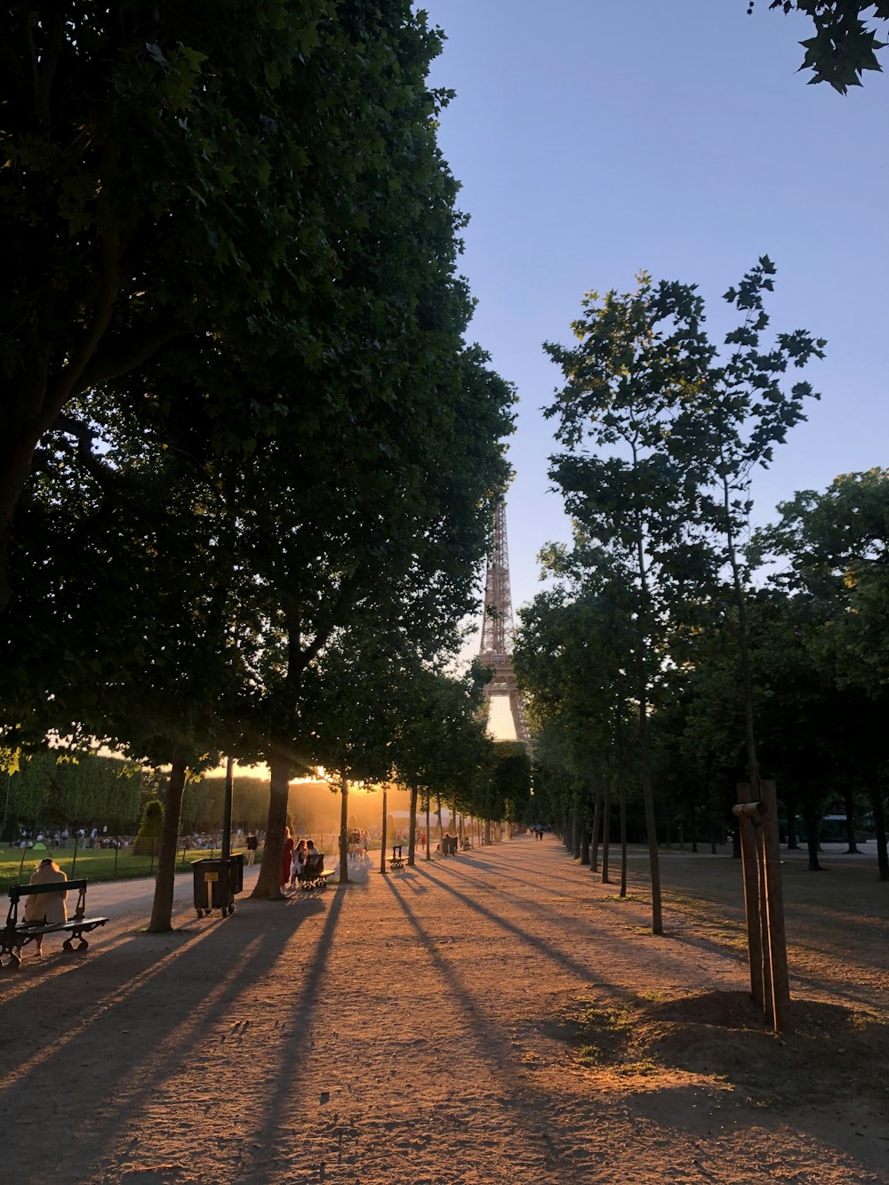 the sun is shining on a park with benches and trees