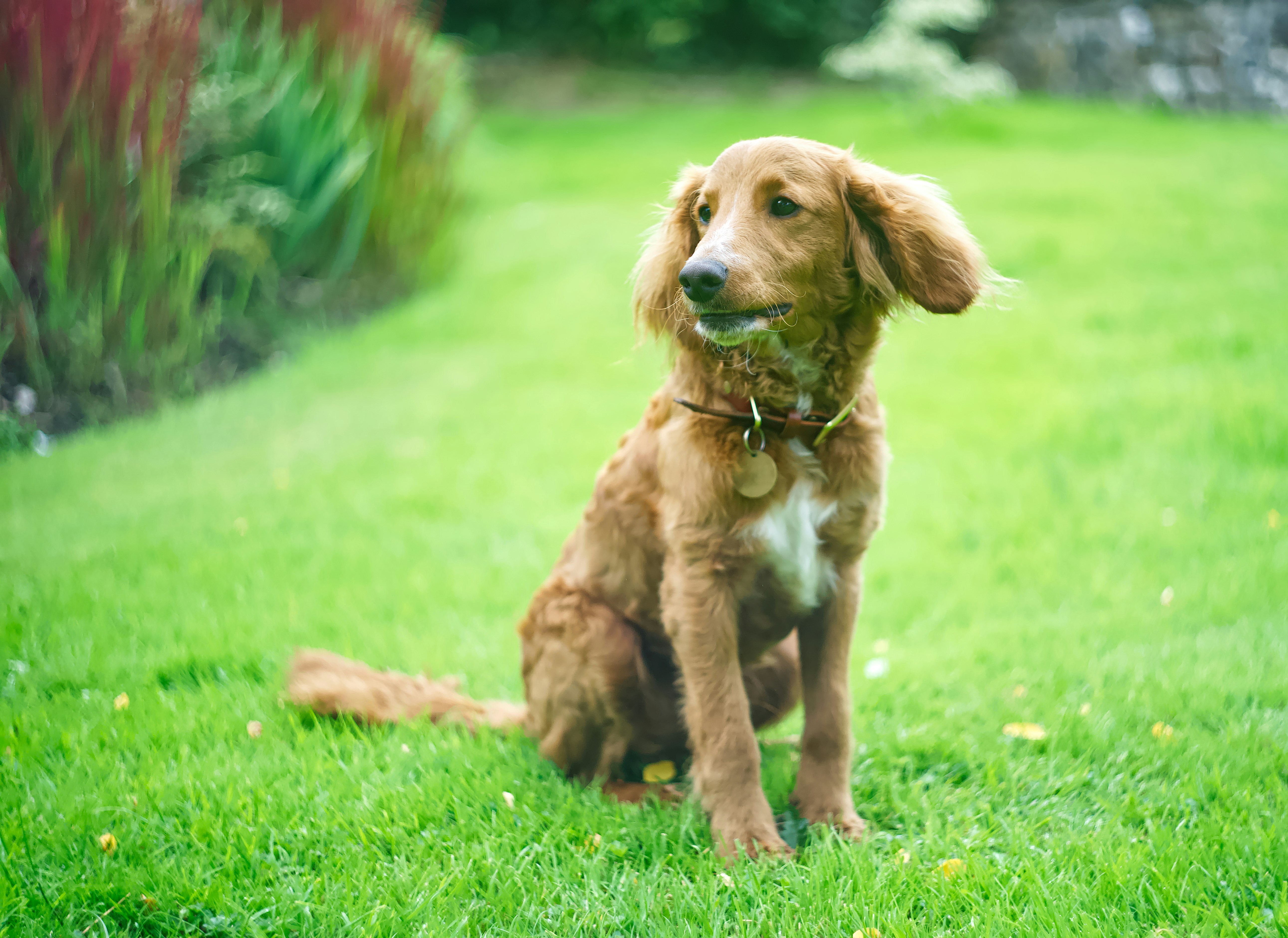 Photo by gregdesigndotart