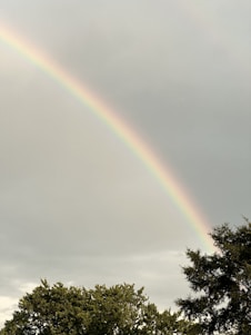 A vibrant photo of George smiling broadly under a bright sunny sky with colorful rainbows in the background.