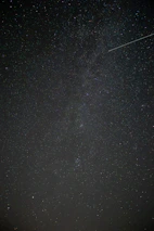 A nighttime sky filled with stars, symbolizing curiosity and scientific discovery.