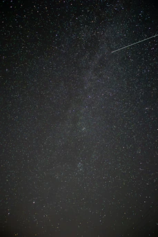 A nighttime sky filled with stars, symbolizing curiosity and scientific discovery.
