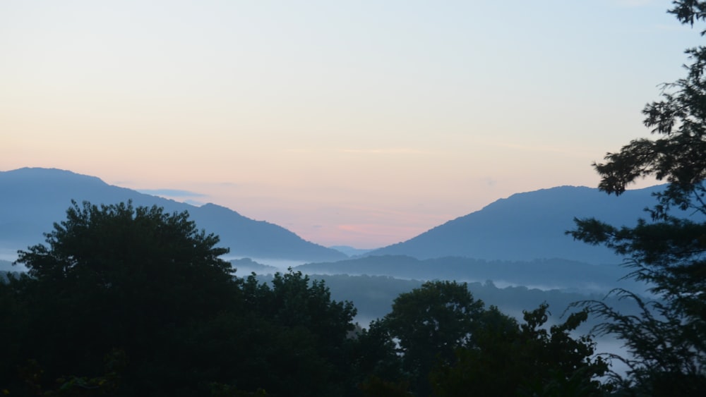 a view of a mountain range with trees in the foreground