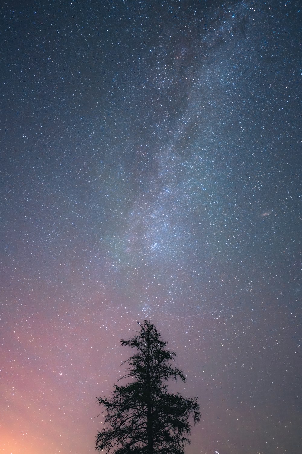 the night sky with stars above a tree