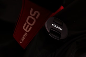 a close up of a canon logo on a jacket