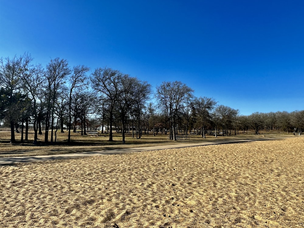 a dirt field with trees in the background