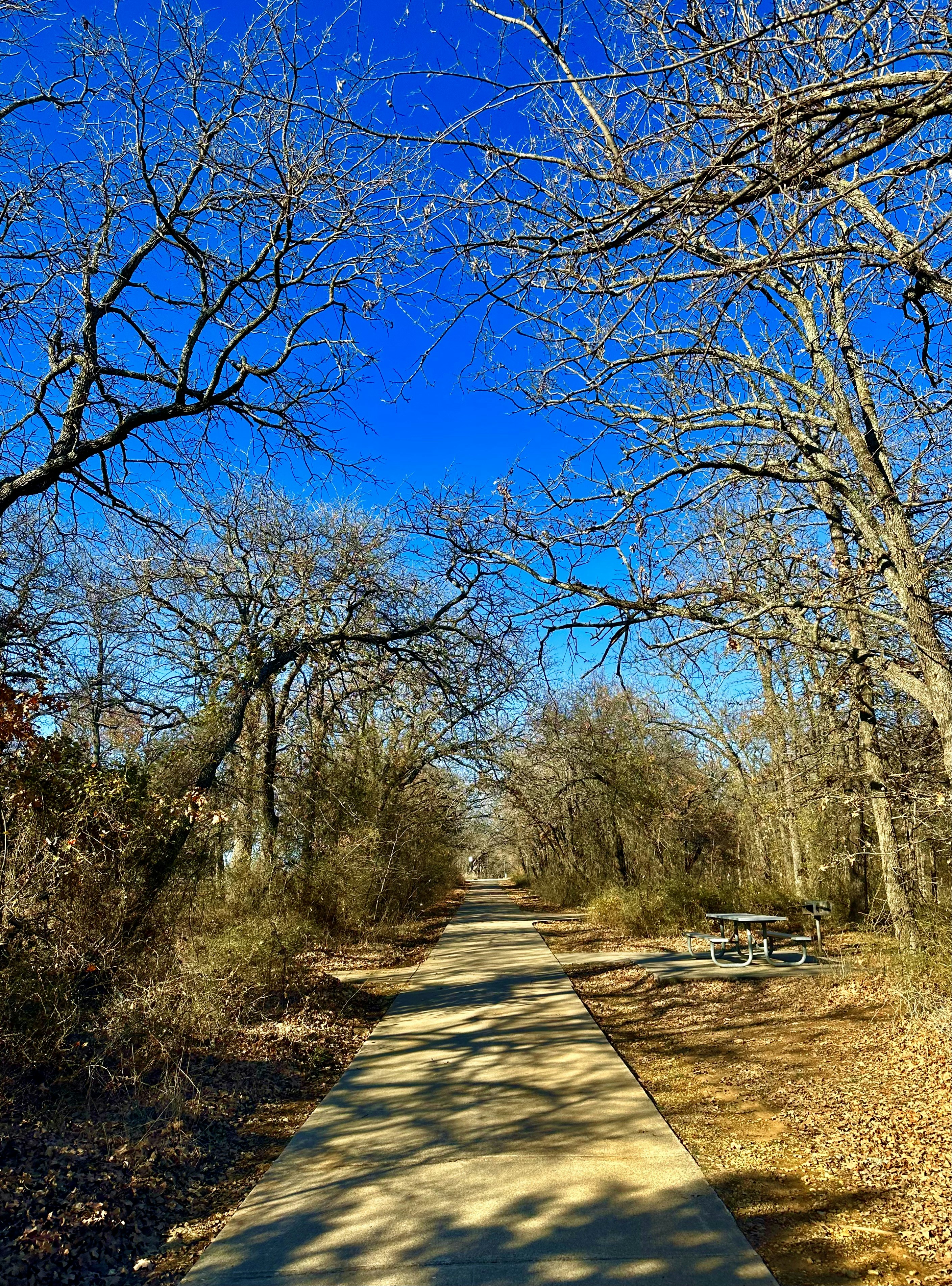 a path in the middle of a wooded area