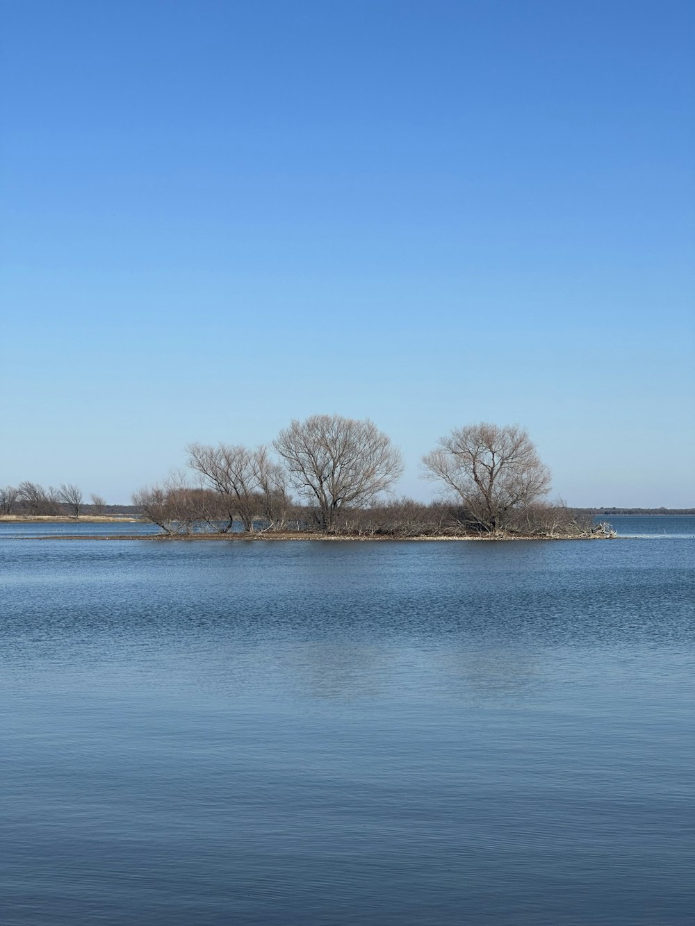 a body of water with trees in the distance