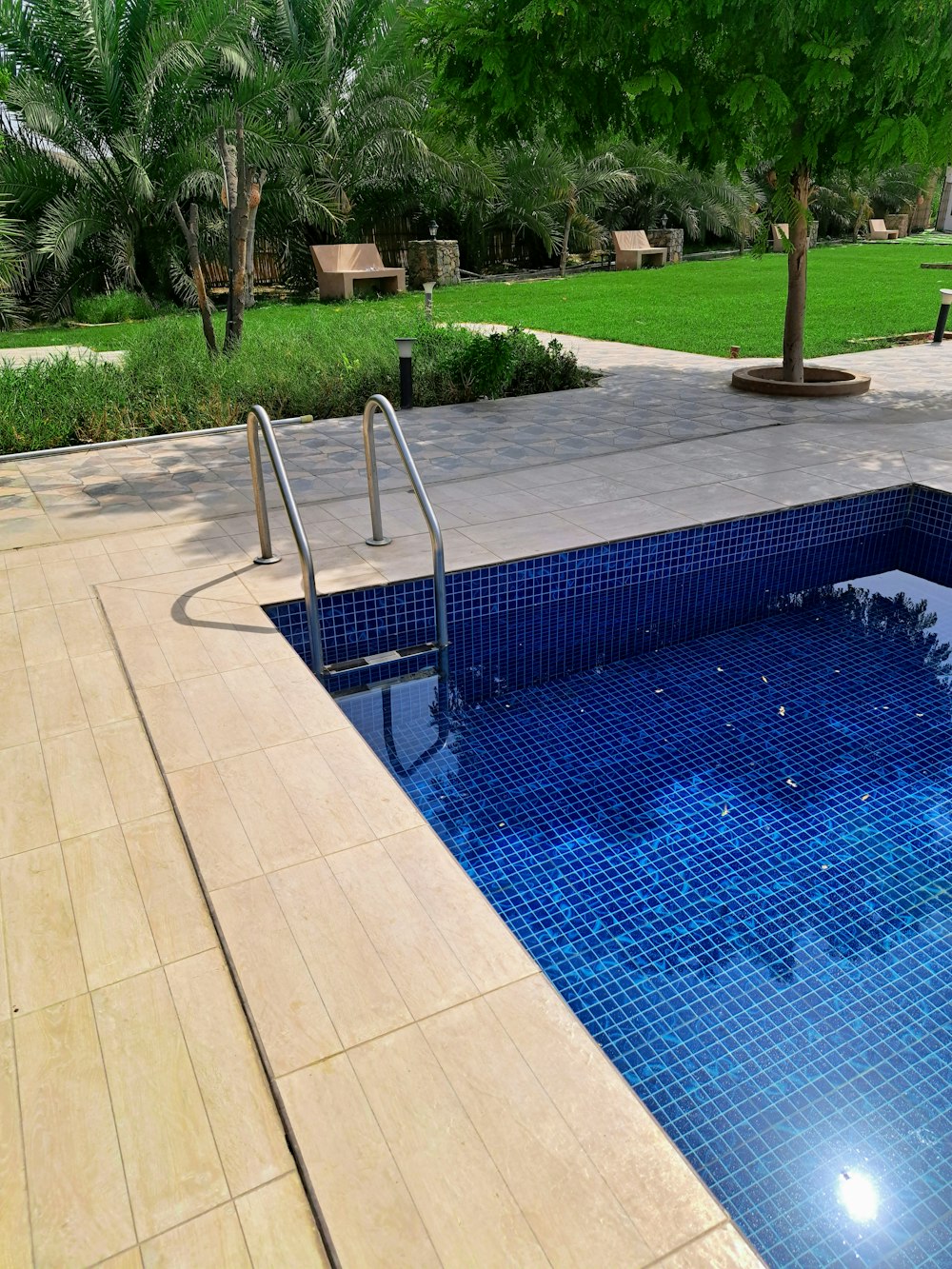 a blue swimming pool surrounded by a lush green park