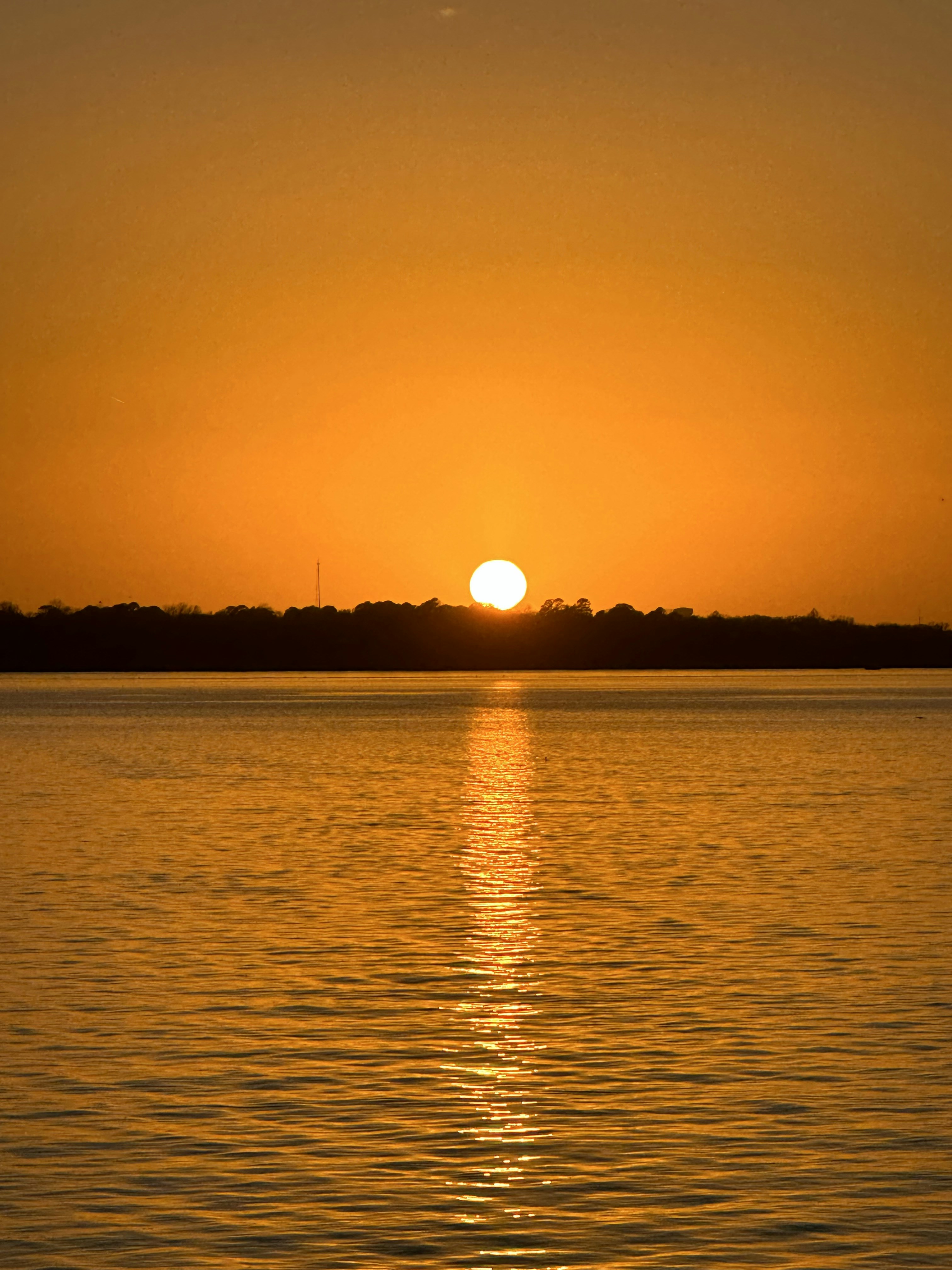 Photo by rollingshots