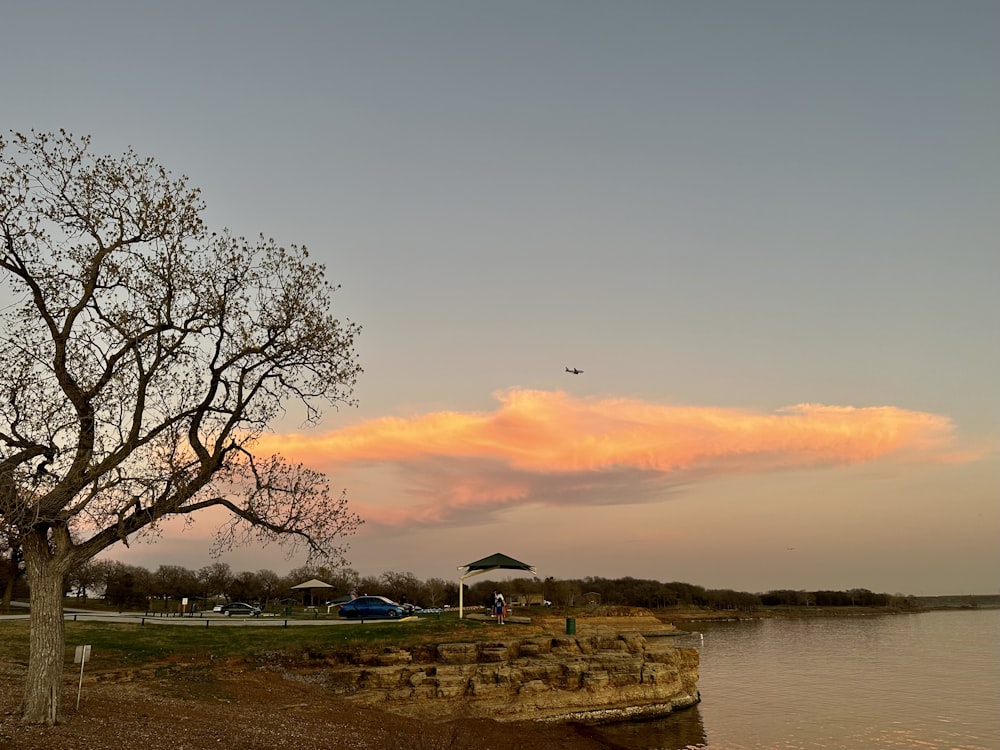 a lone tree sitting on the shore of a lake