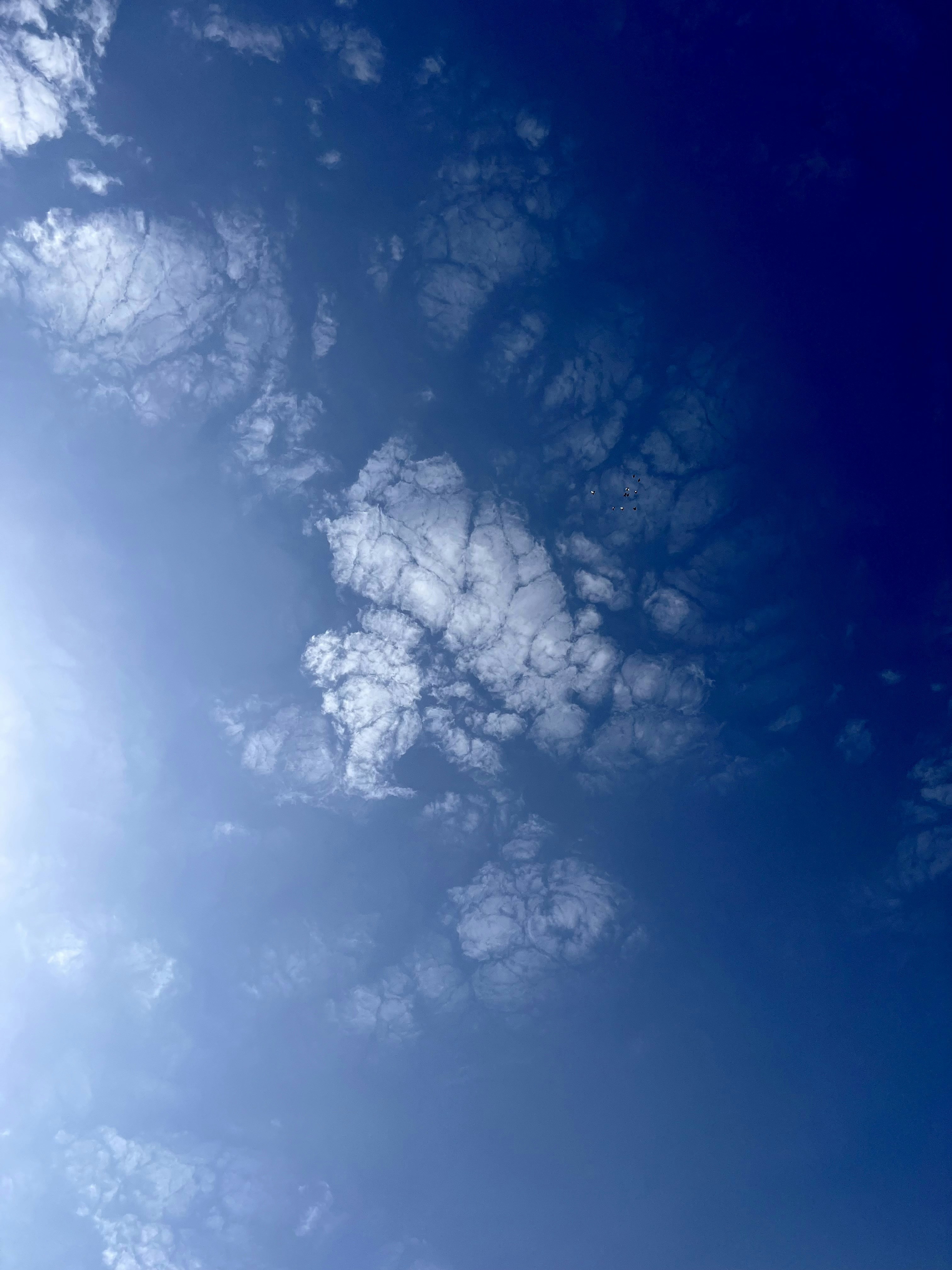 Photo by kourosh2500