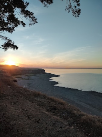 The image captures a serene coastal landscape during sunset. The sun is low on the horizon, casting warm tones across the sky. A tranquil body of water reflects the light, while a sandy beach extends along the shoreline. Pine tree branches frame the view from above, adding depth and contrast.