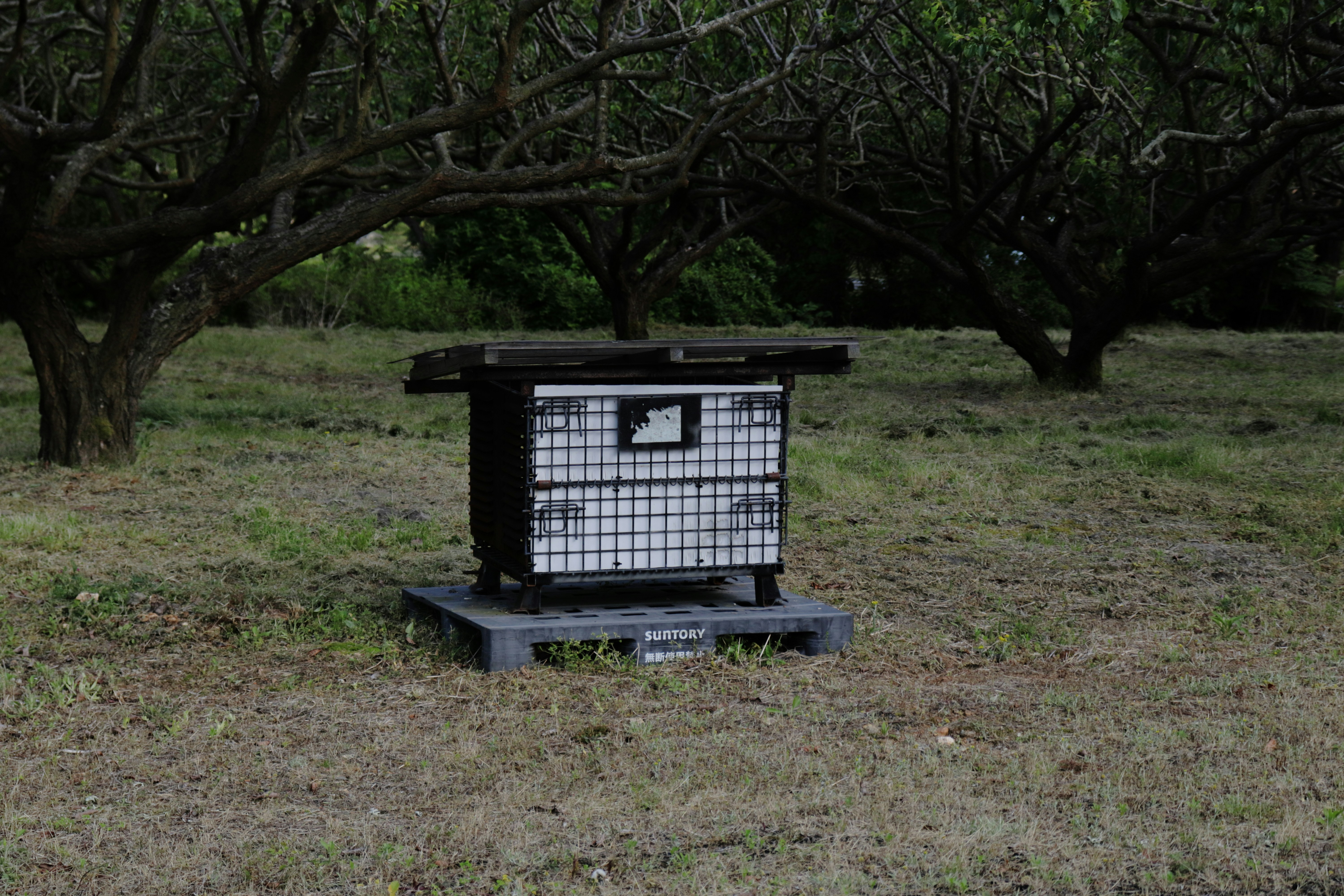 a beehive in a field with trees in the background