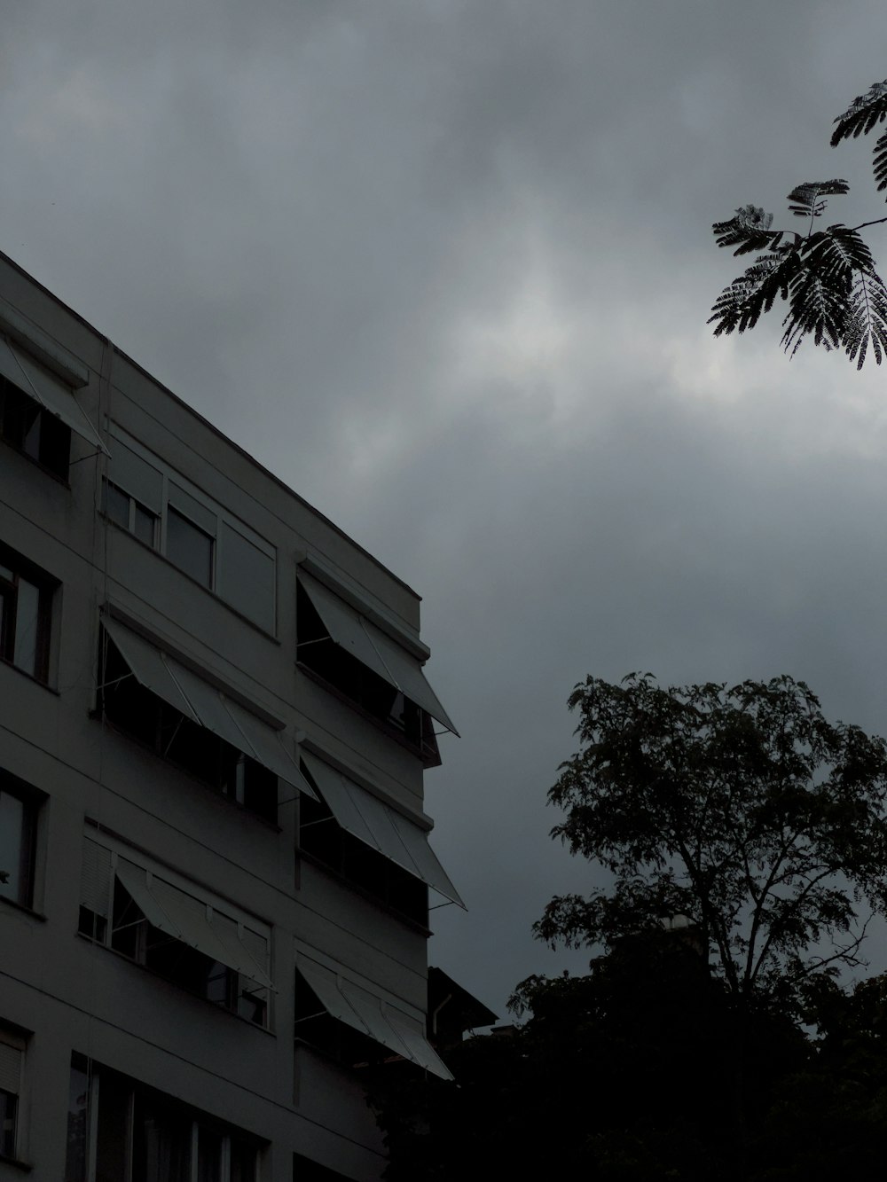 a tall building sitting next to a tree under a cloudy sky