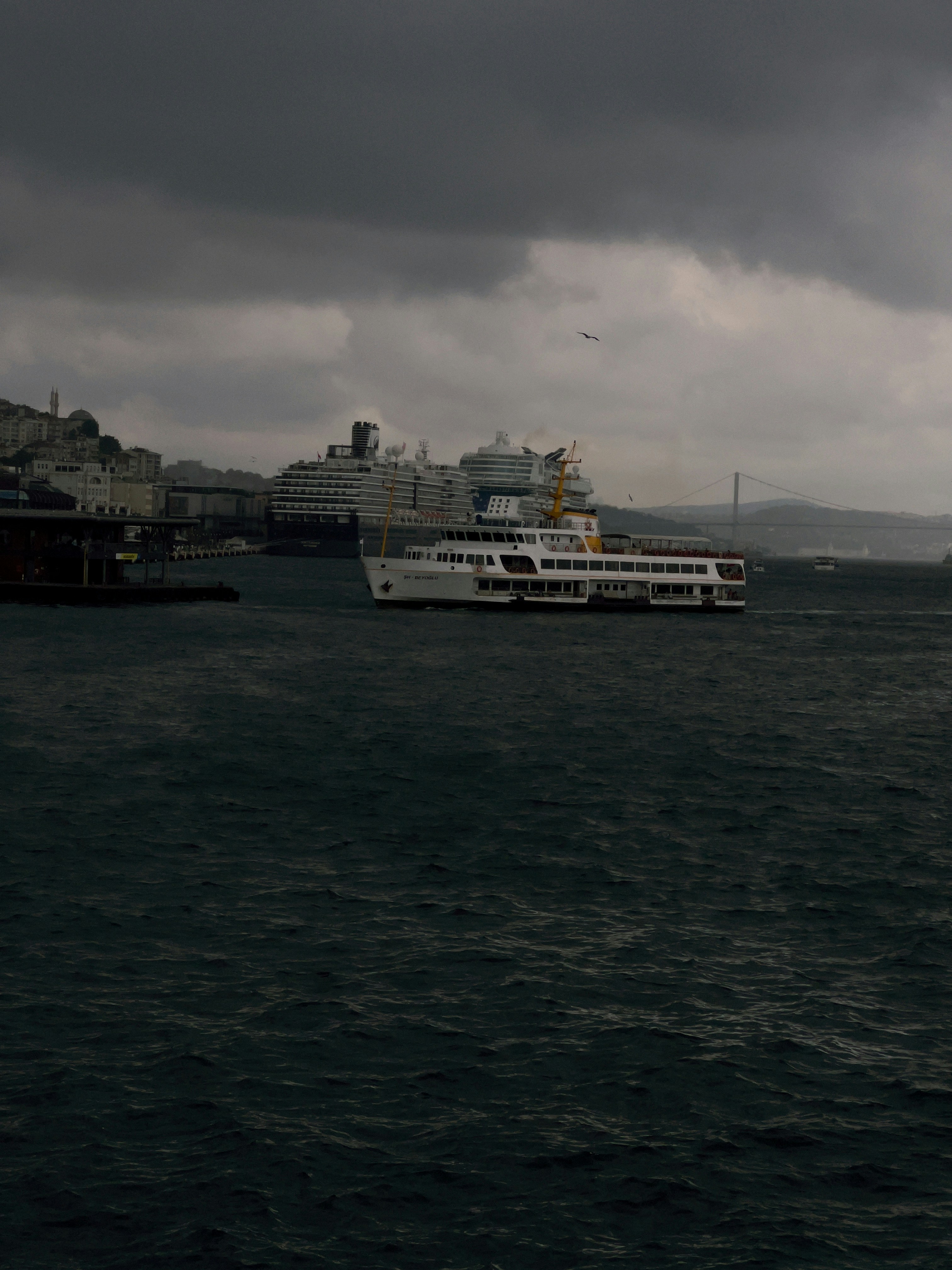 Booking a private boat tour in Istanbul