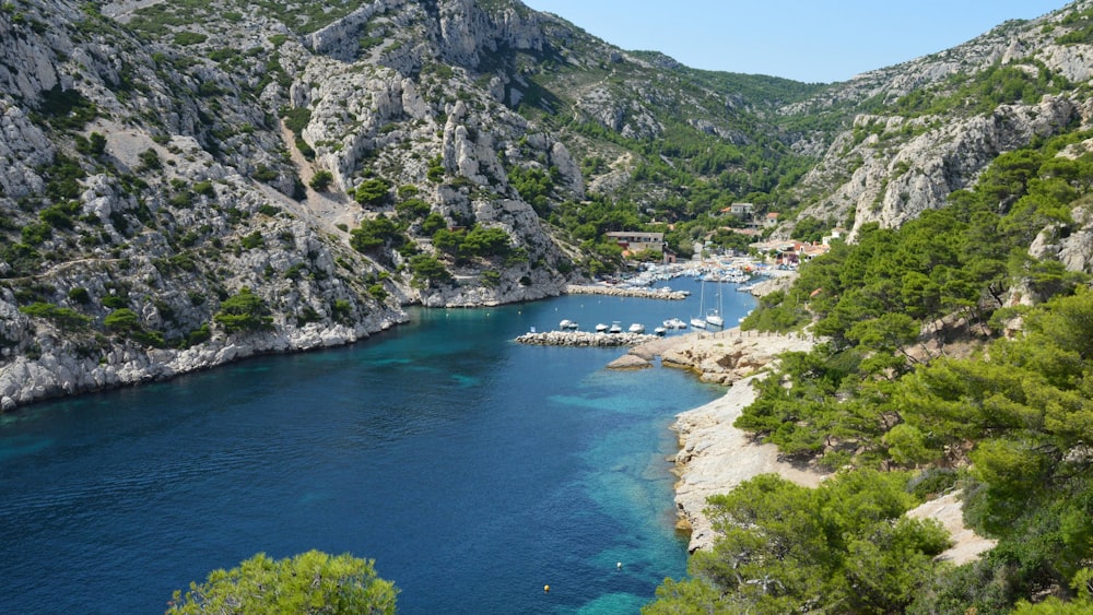 a body of water surrounded by mountains and trees