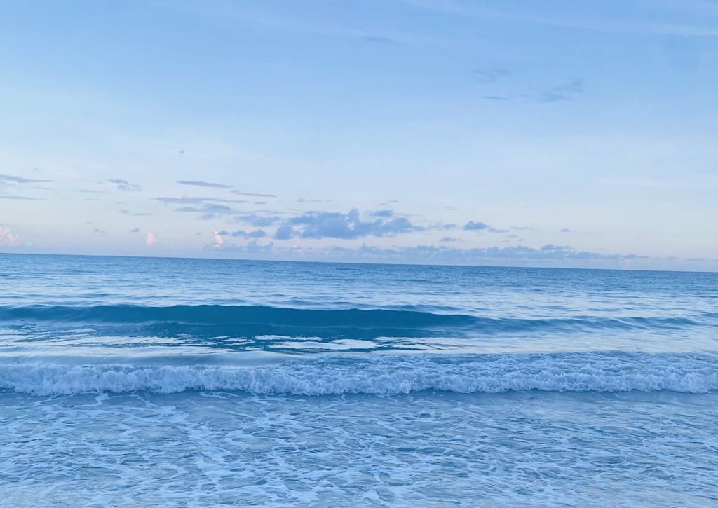 Quiet Coast