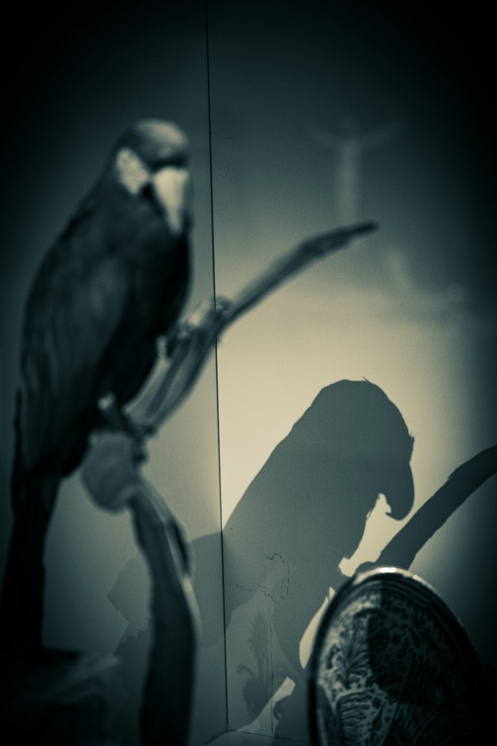 a bird sitting on top of a table next to a mirror