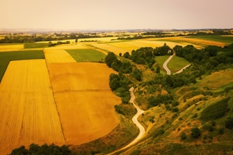 Wide aerial panorama of rolling Normandy farmland with patchwork fields and hedgerows.