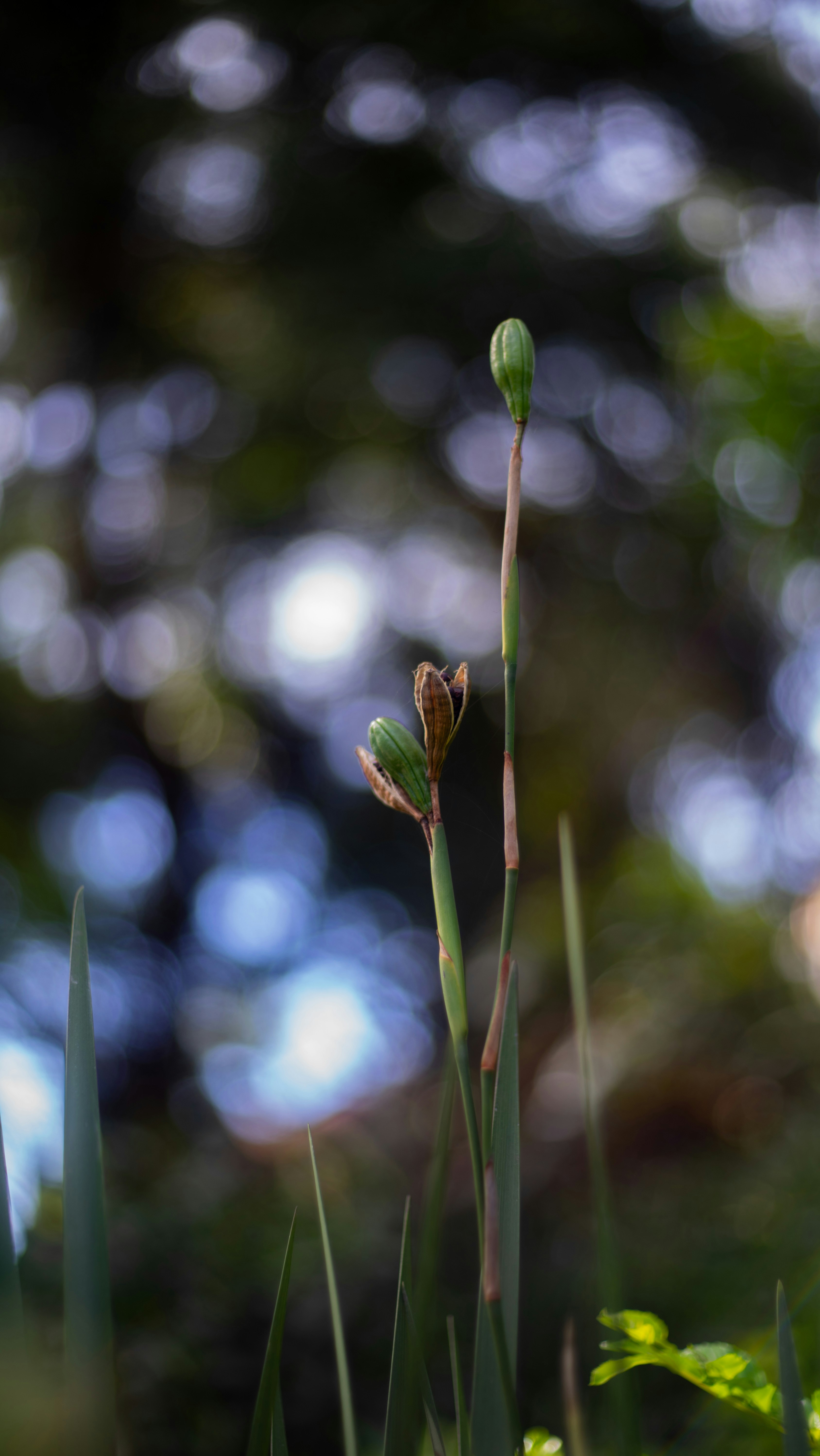 Photo by alekseyryan