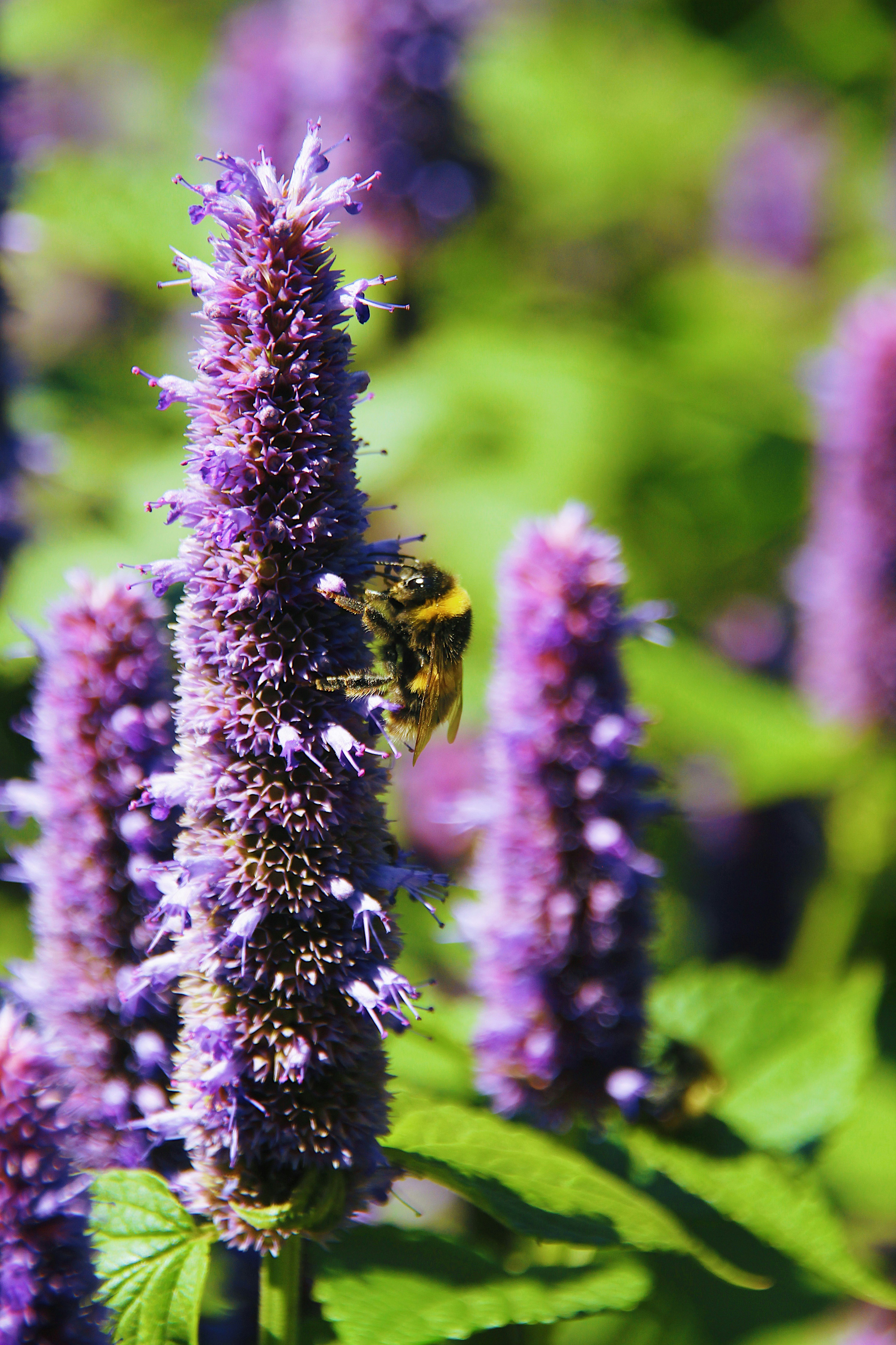 Photo by l_kirkland_moore