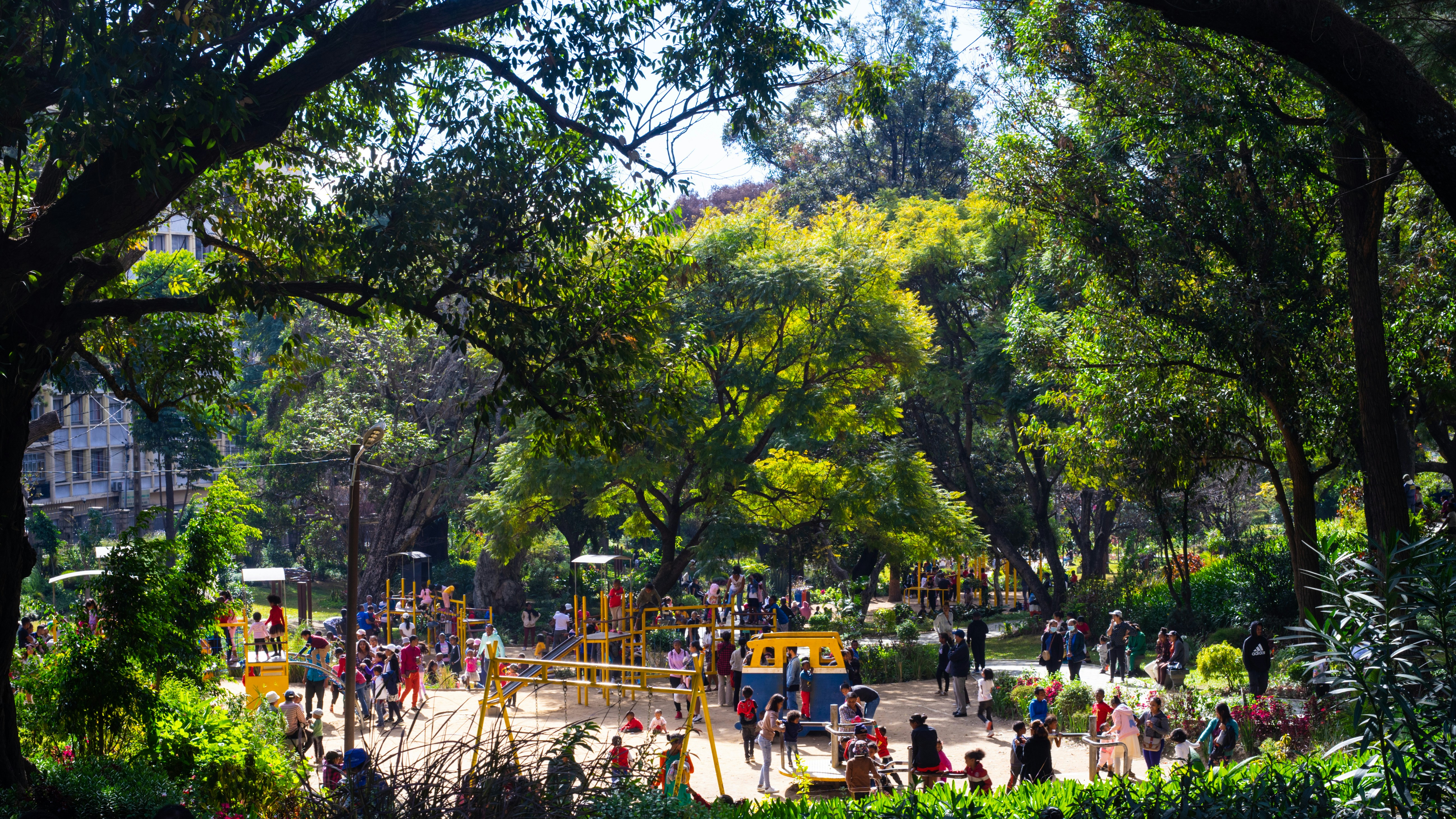 a group of people playing in a park