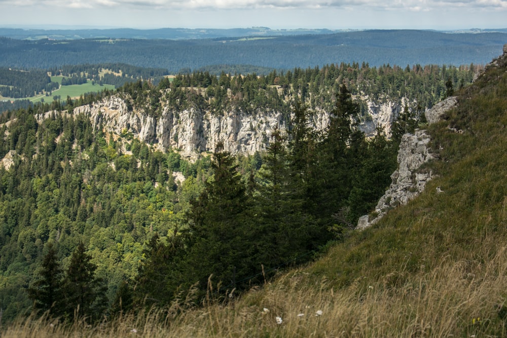 una vista di una catena montuosa con alberi sul lato di esso