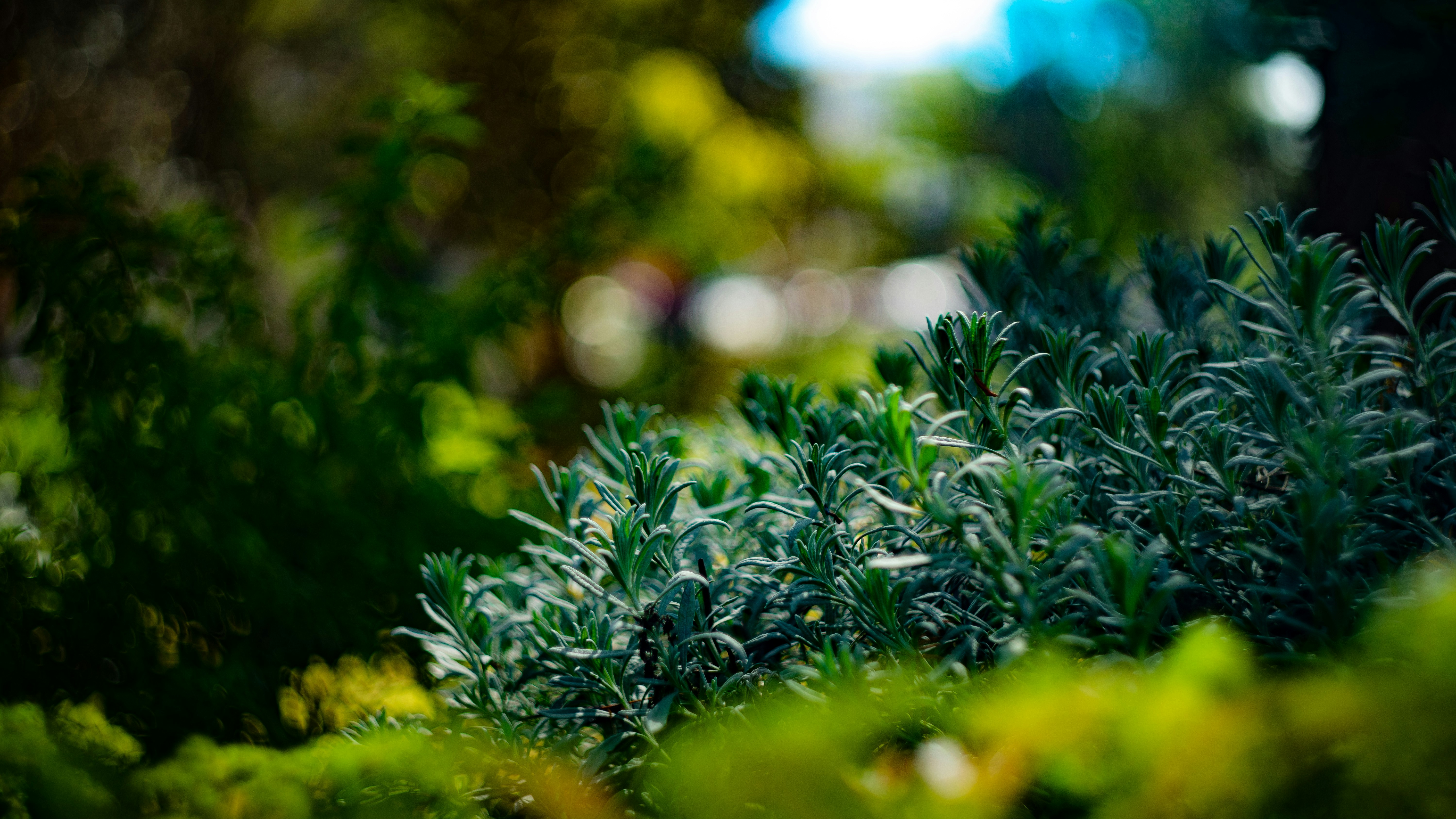 Photo by alekseyryan