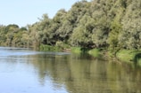 A peaceful river scene with trees lining the banks.