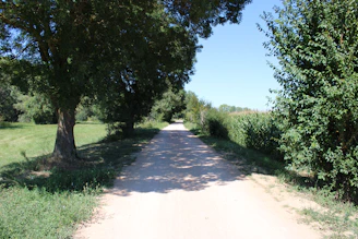 Plot of land with a dirt road leading into a peaceful neighborhood.