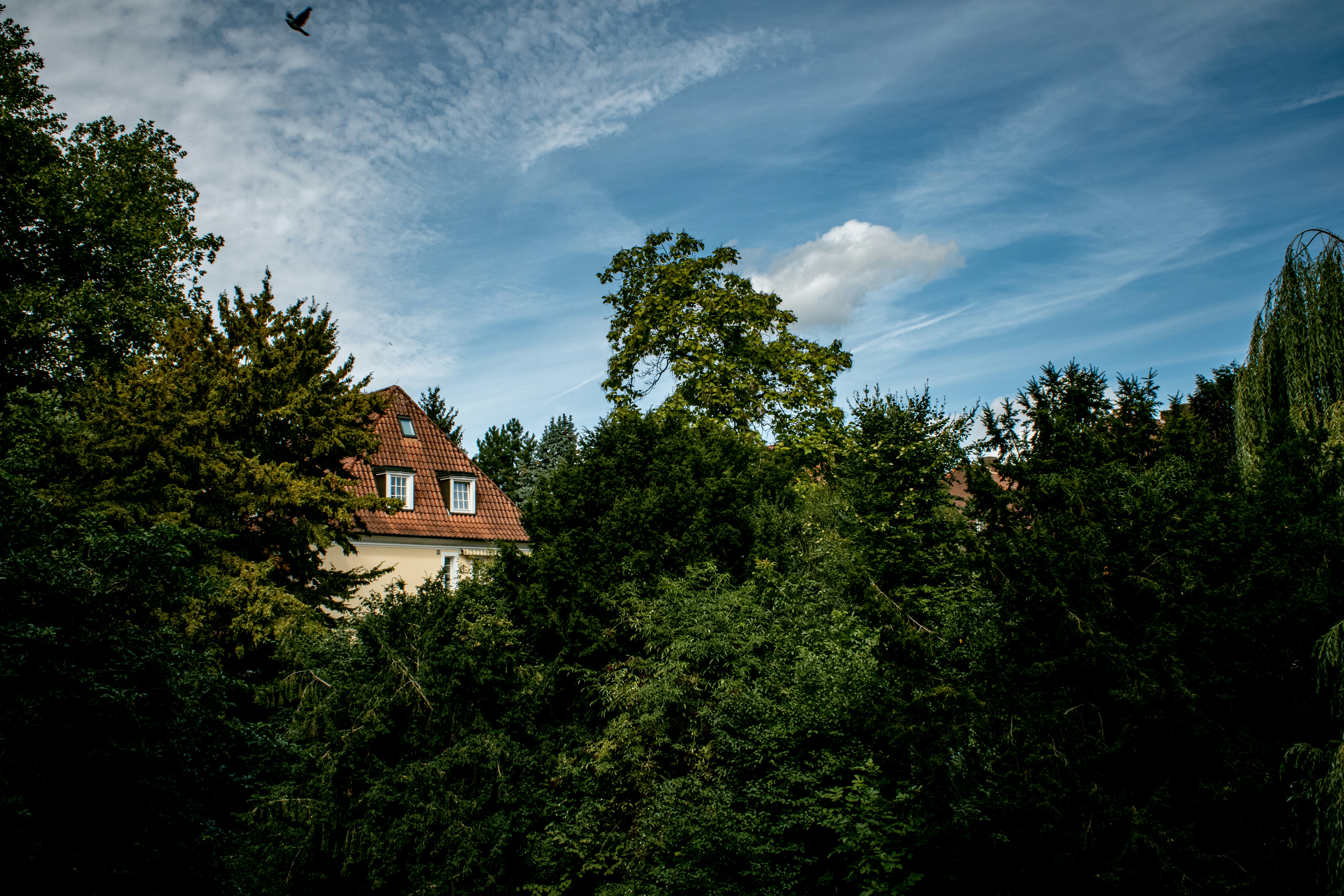 Photo by sxrrow